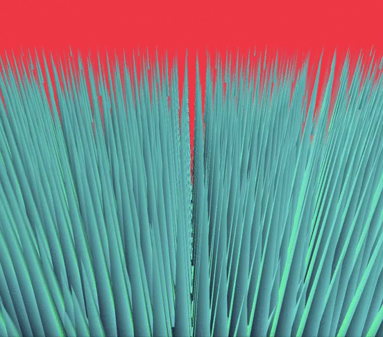 Grass blowing in the wind