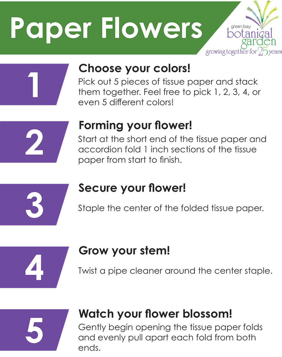 Craft Directions