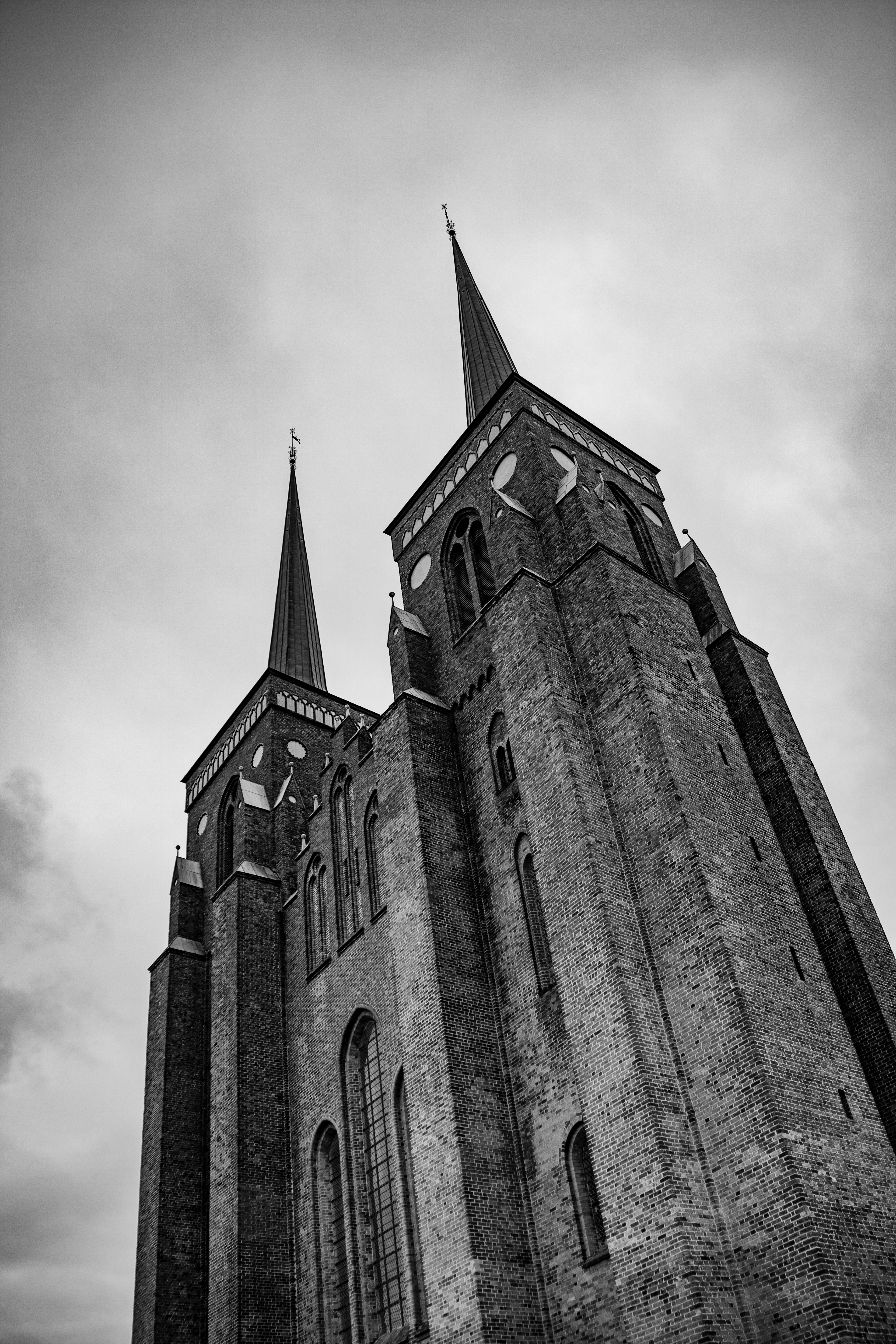 2020-06-05 - Canon 50mm 1.8 STM