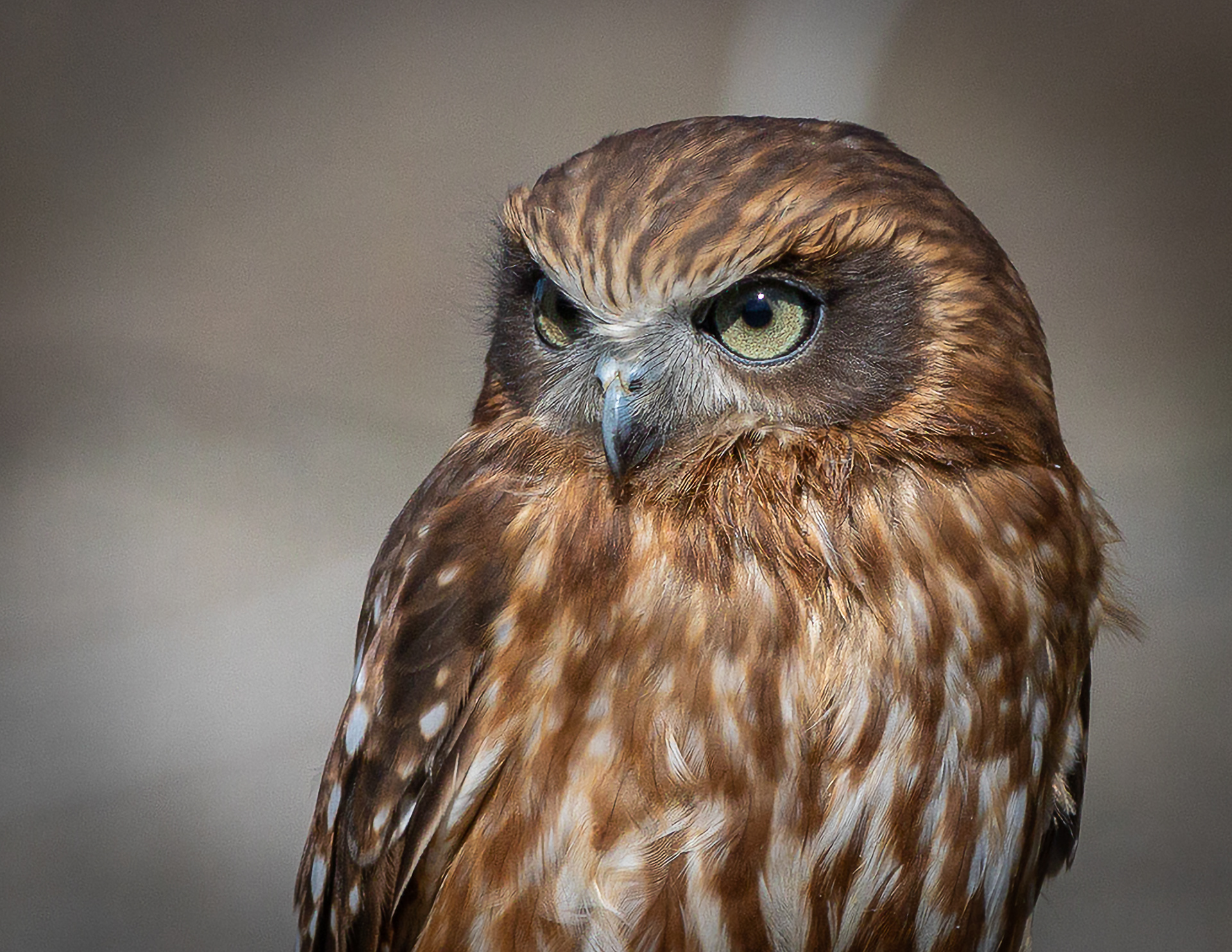 2022-04-16 EOS 5D Mark IV - Canon 70-200 2.8L