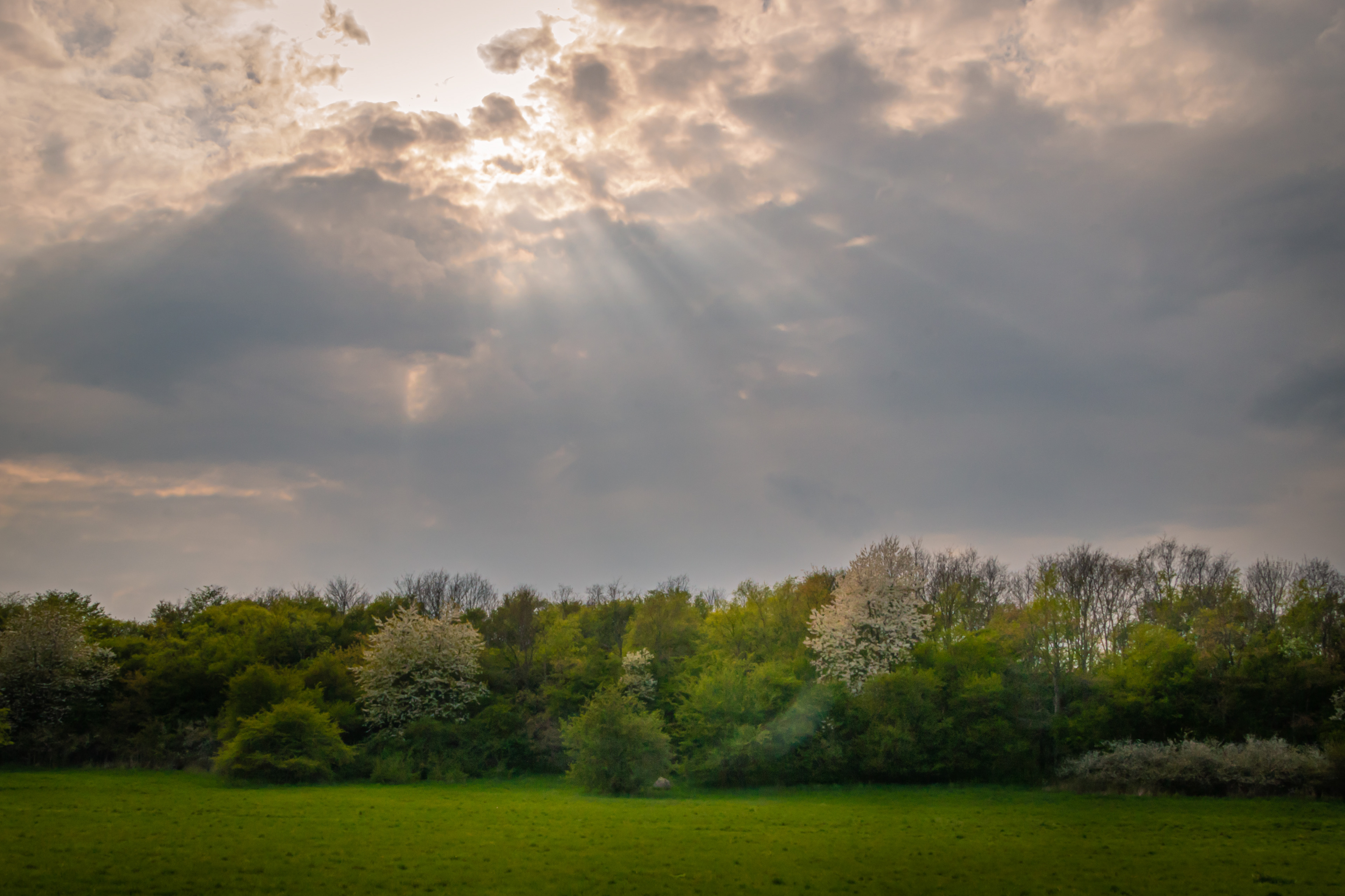 2020-04-27 - Tamron 18-200mm