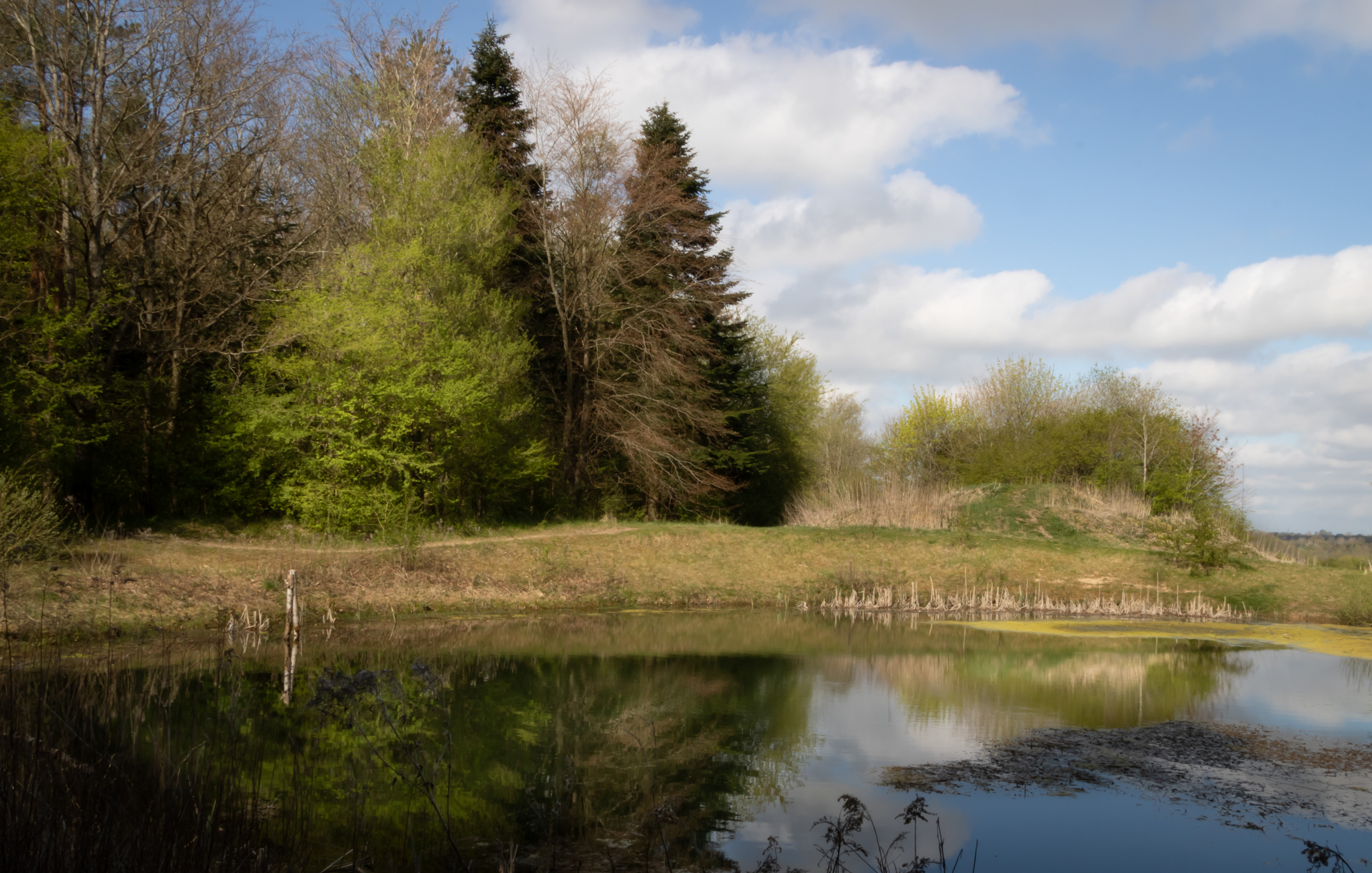 2020-04-26 - Tamron 18-200mm