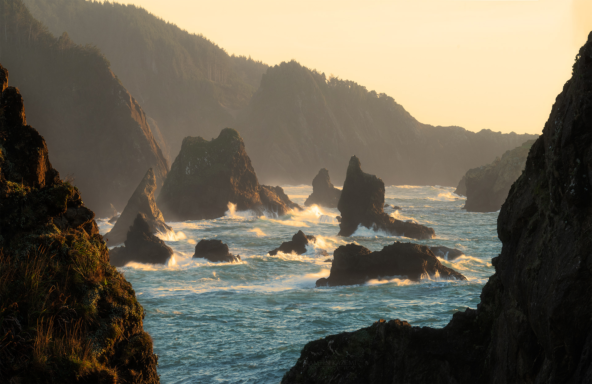 Waves in Motion