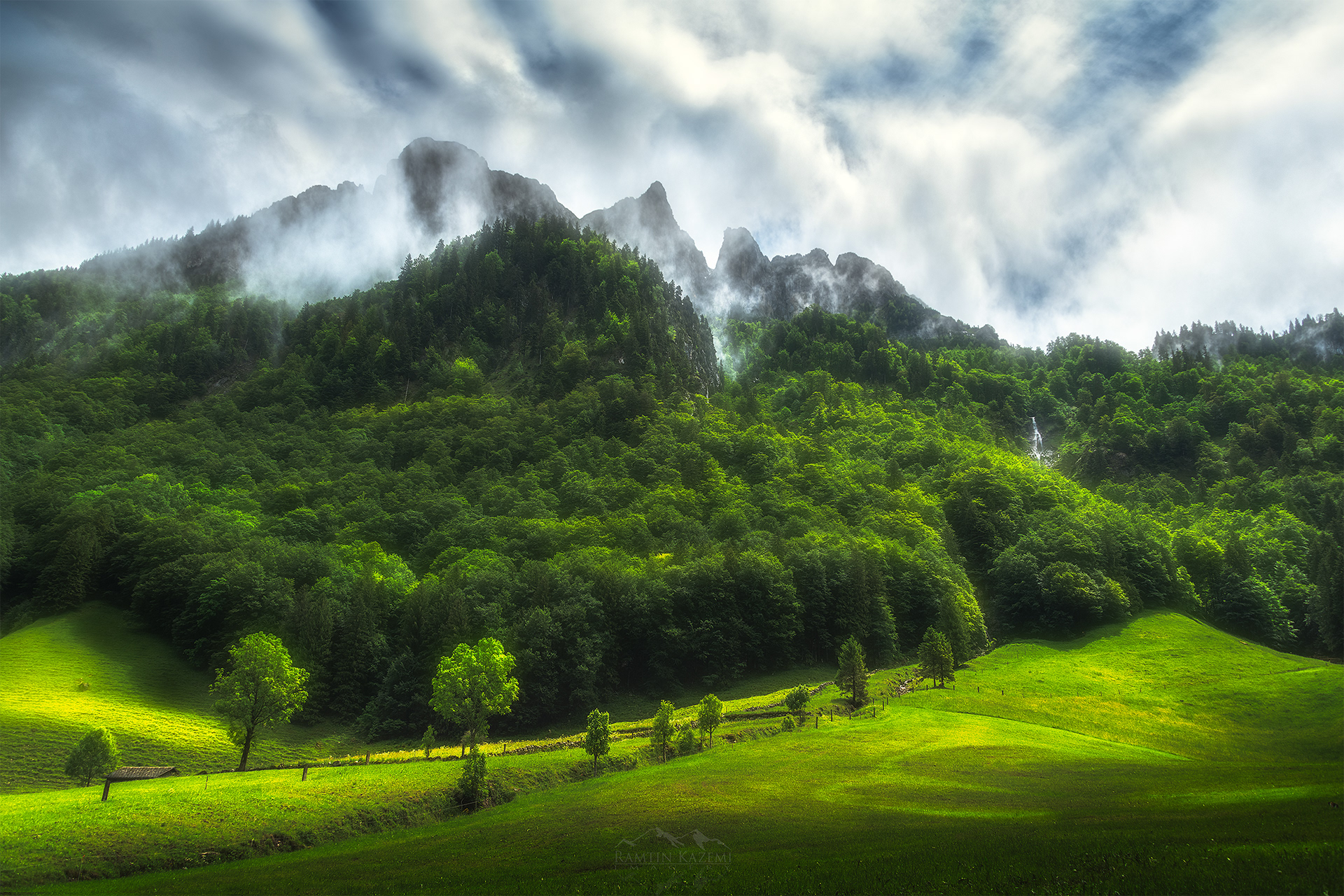 Appenzeller