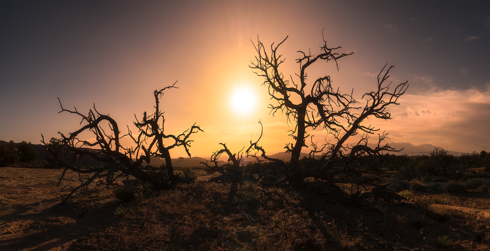 Backlit Remains