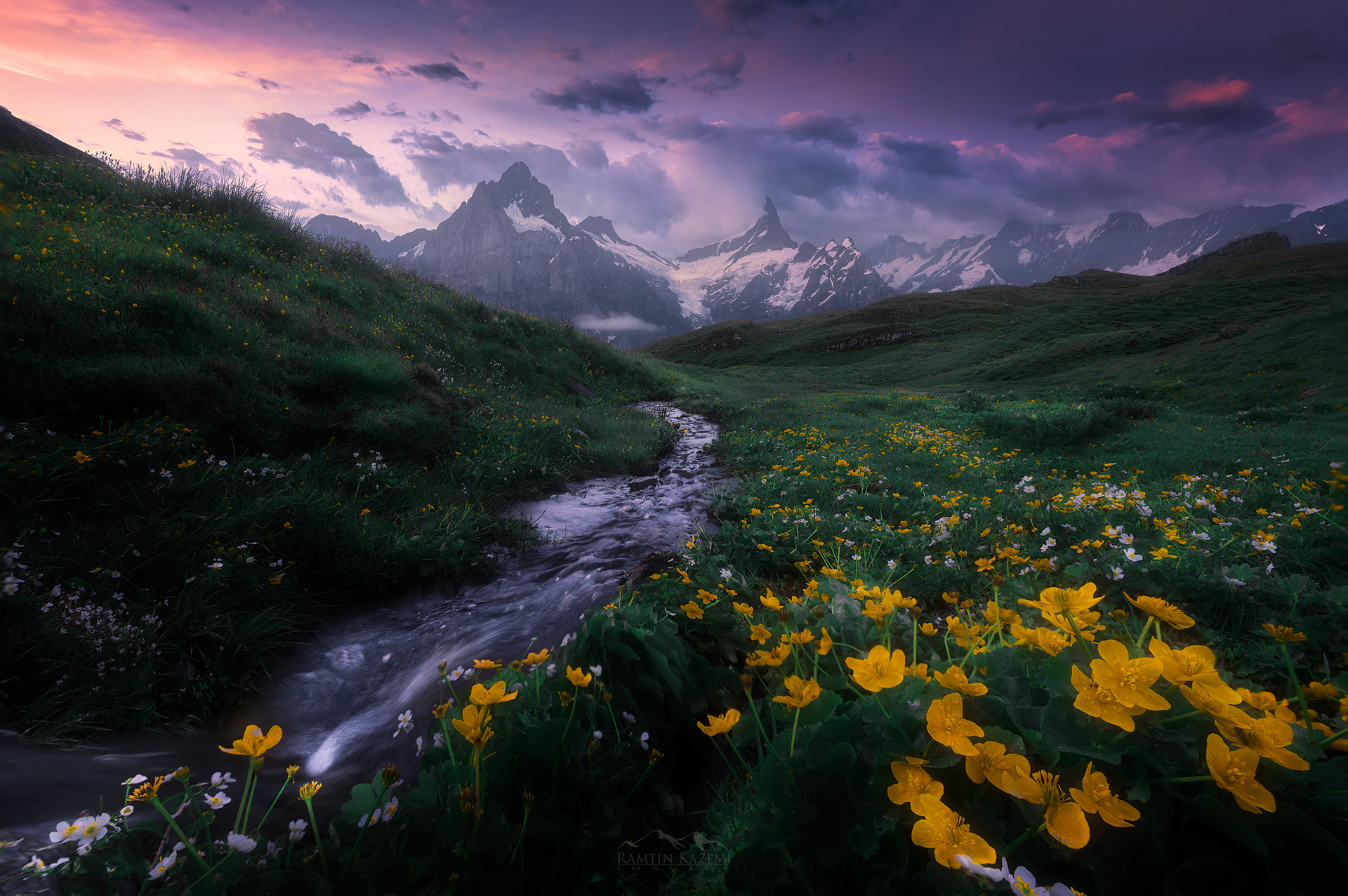 Wild Ritual, Swiss Alps
