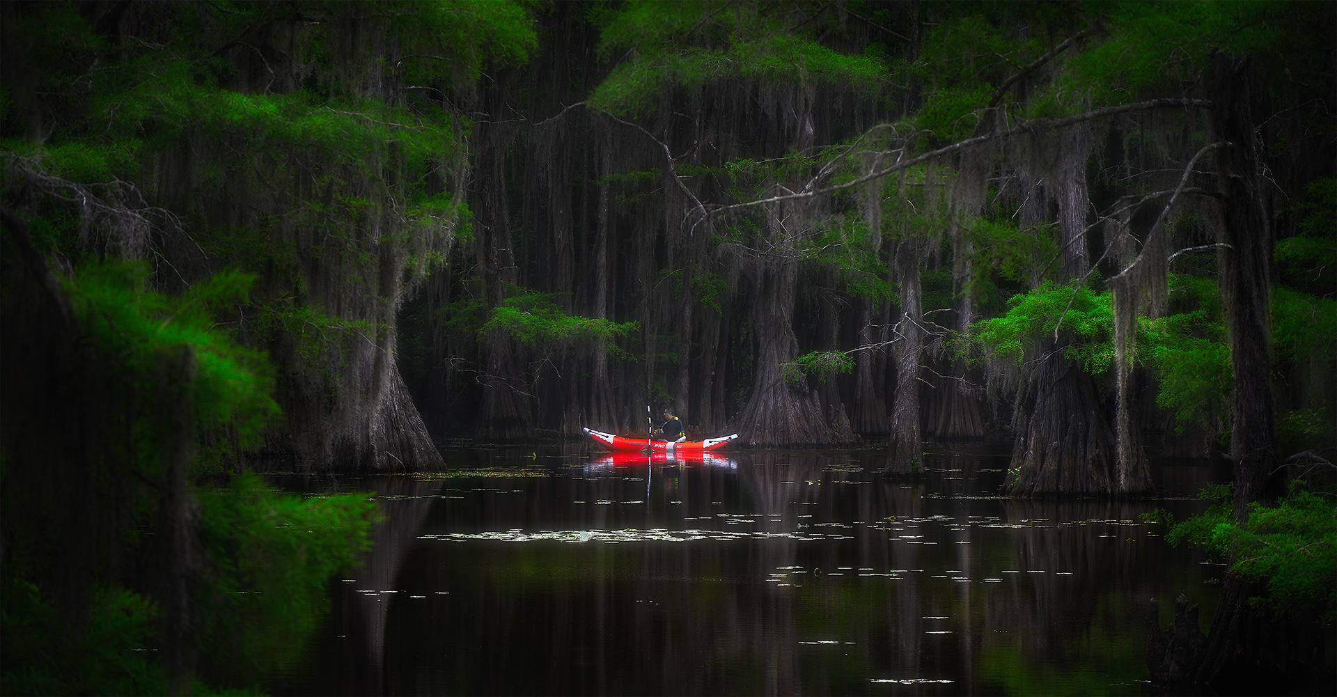 The Kayaker