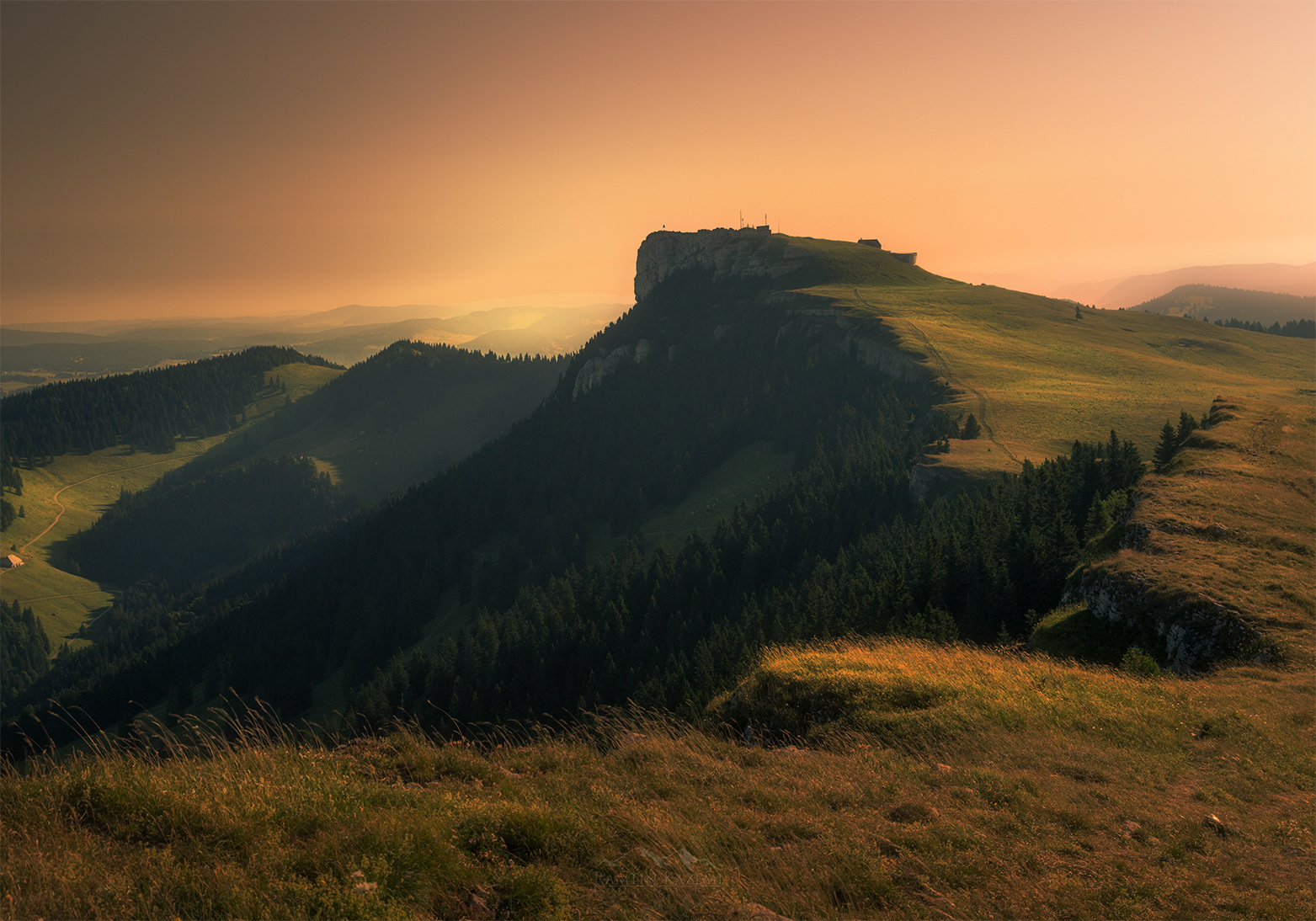 Morning Light