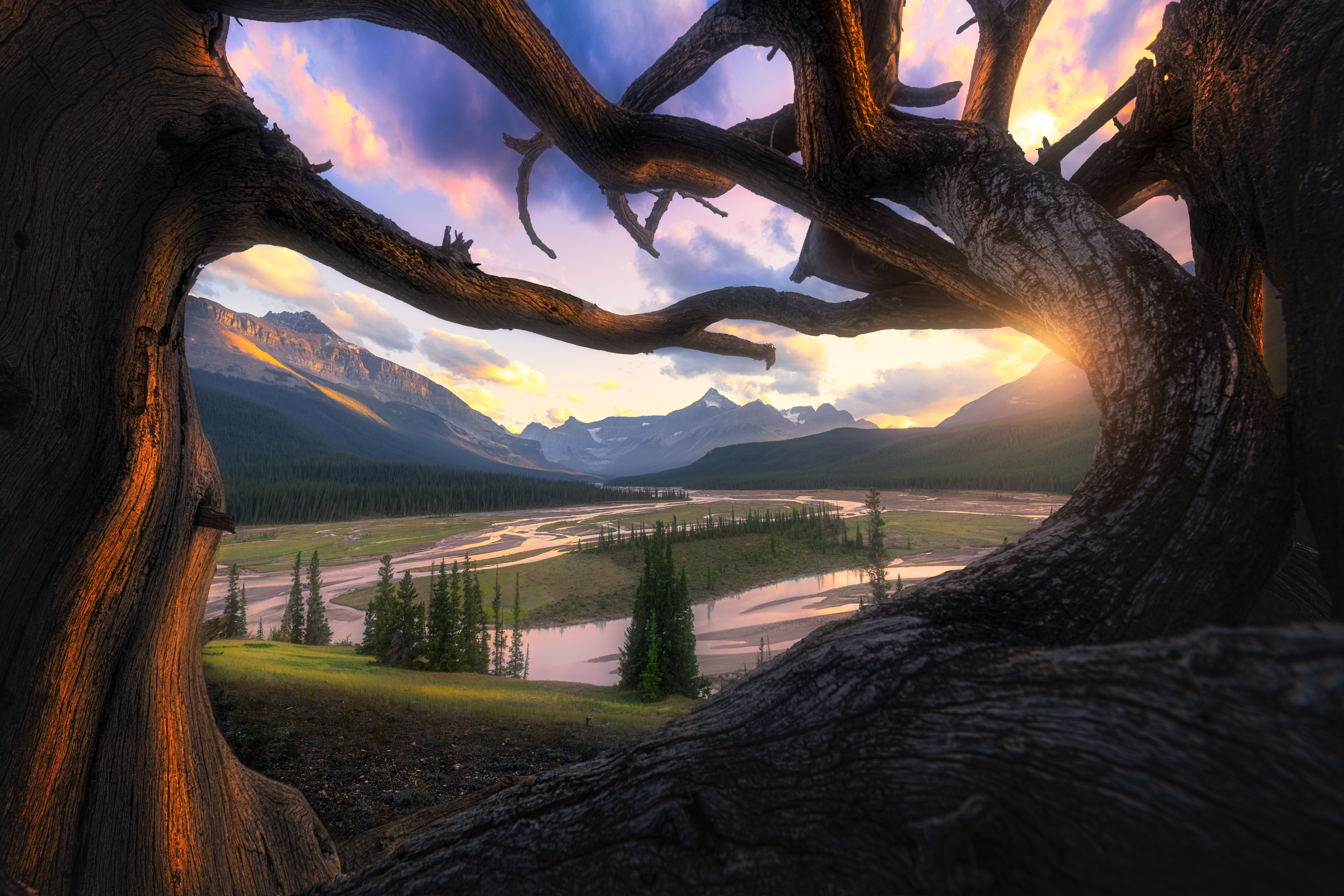 The Story - Canadian Rockies