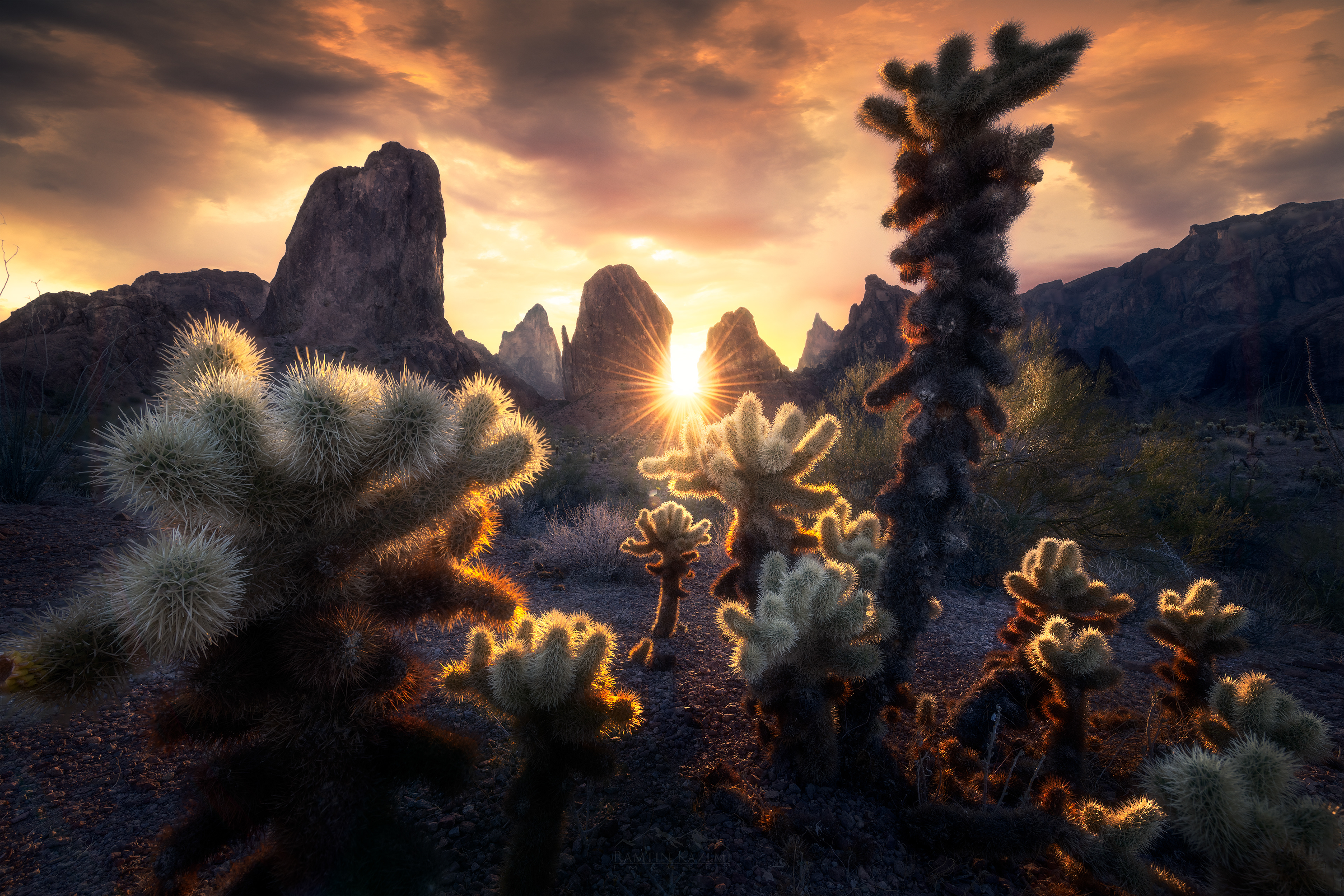 Desert in Harmony