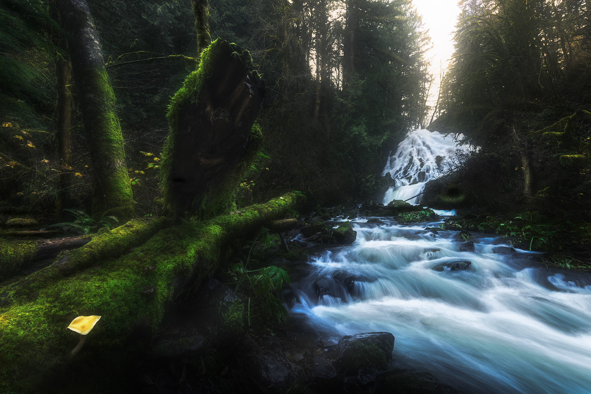Upstream