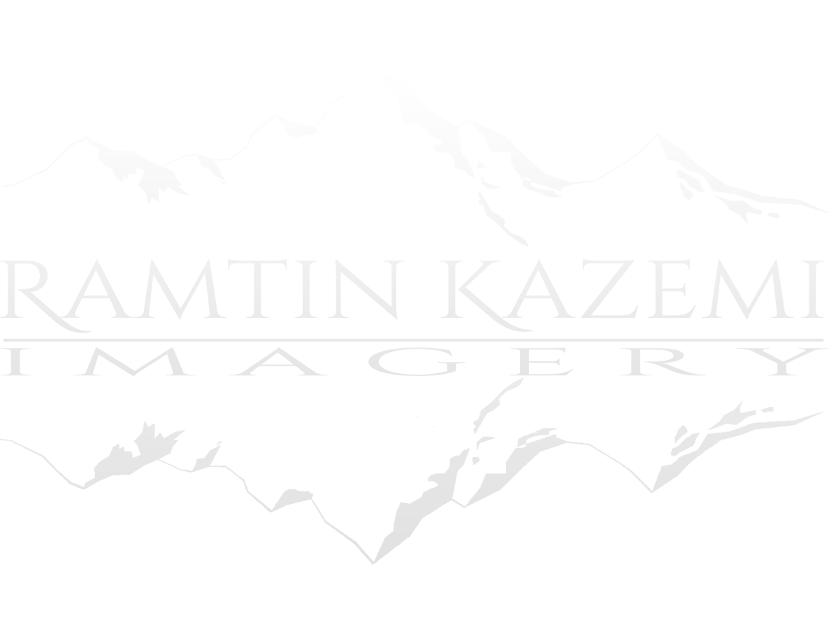 Ramtin Kazemi