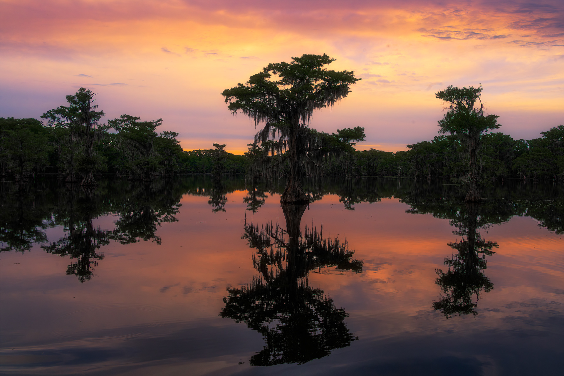 A Simple Reflection