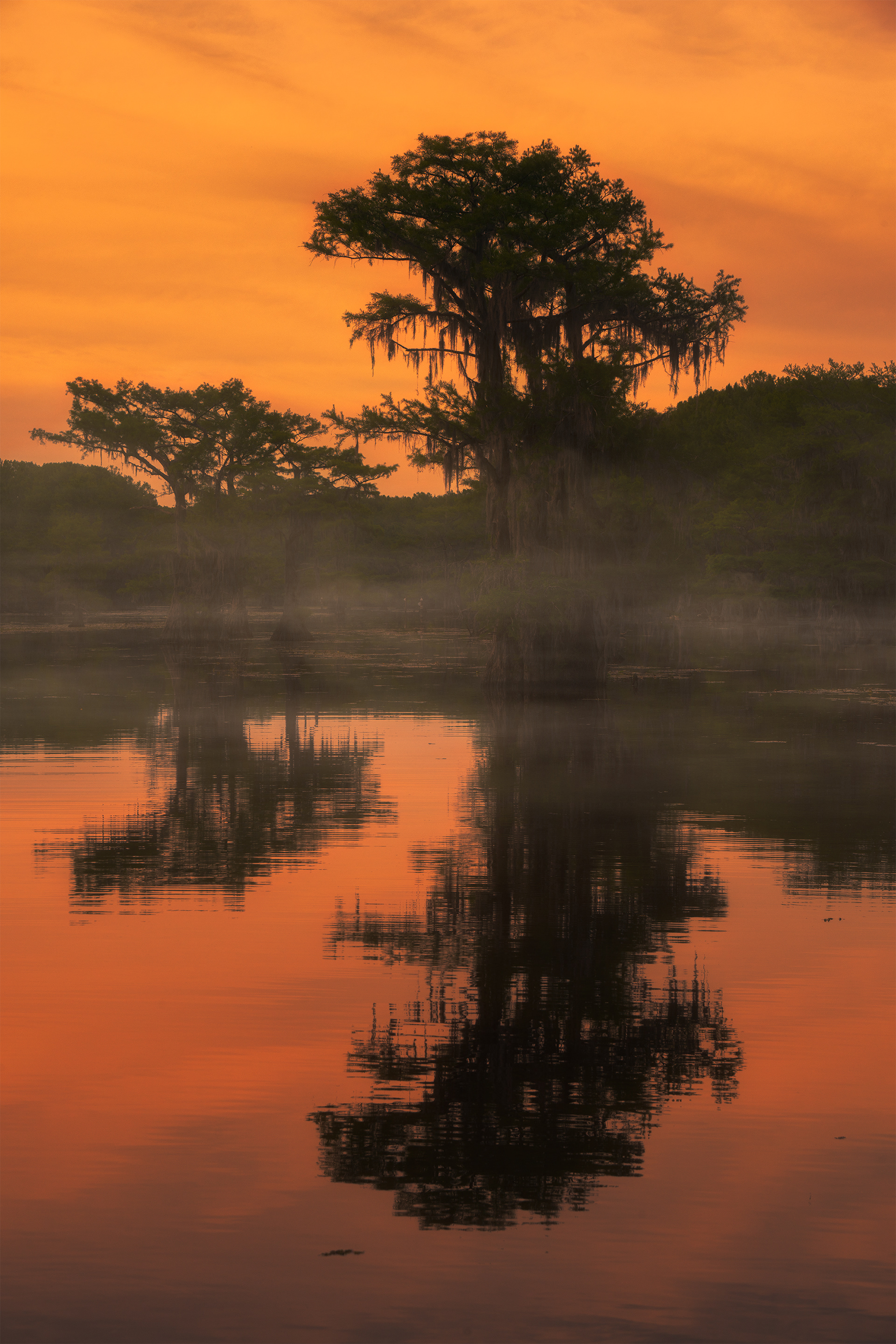 Be Still