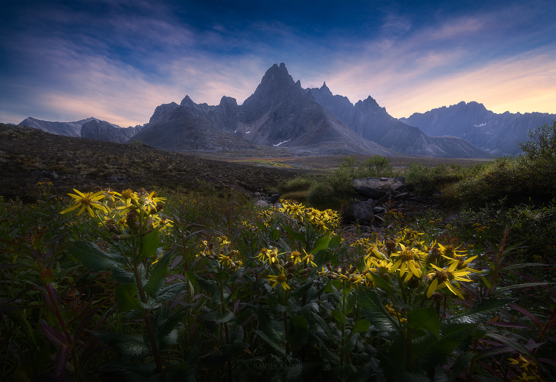 A Resilient Force - Ogilvie Mountains, Yukon