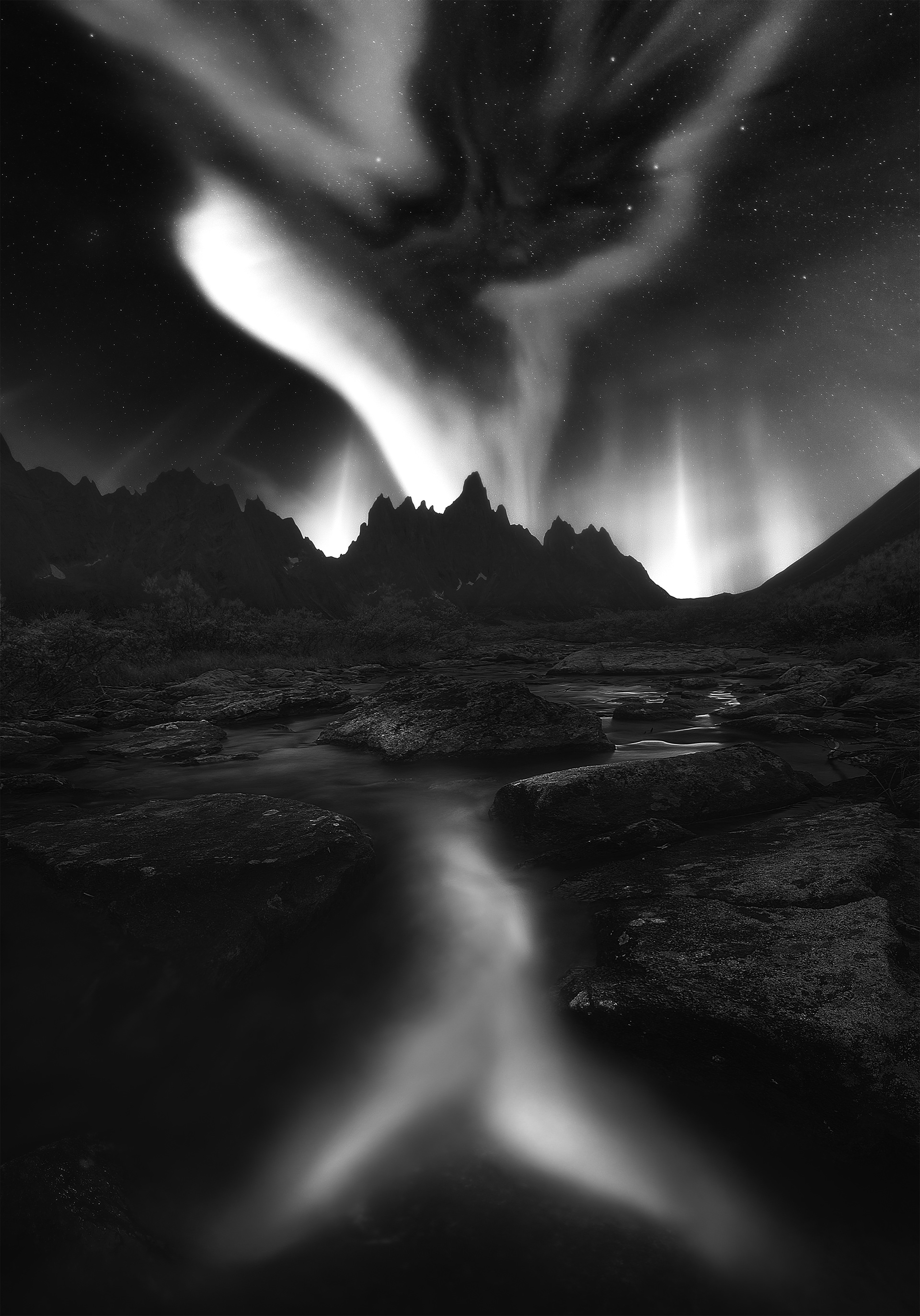 Spellbound by Night