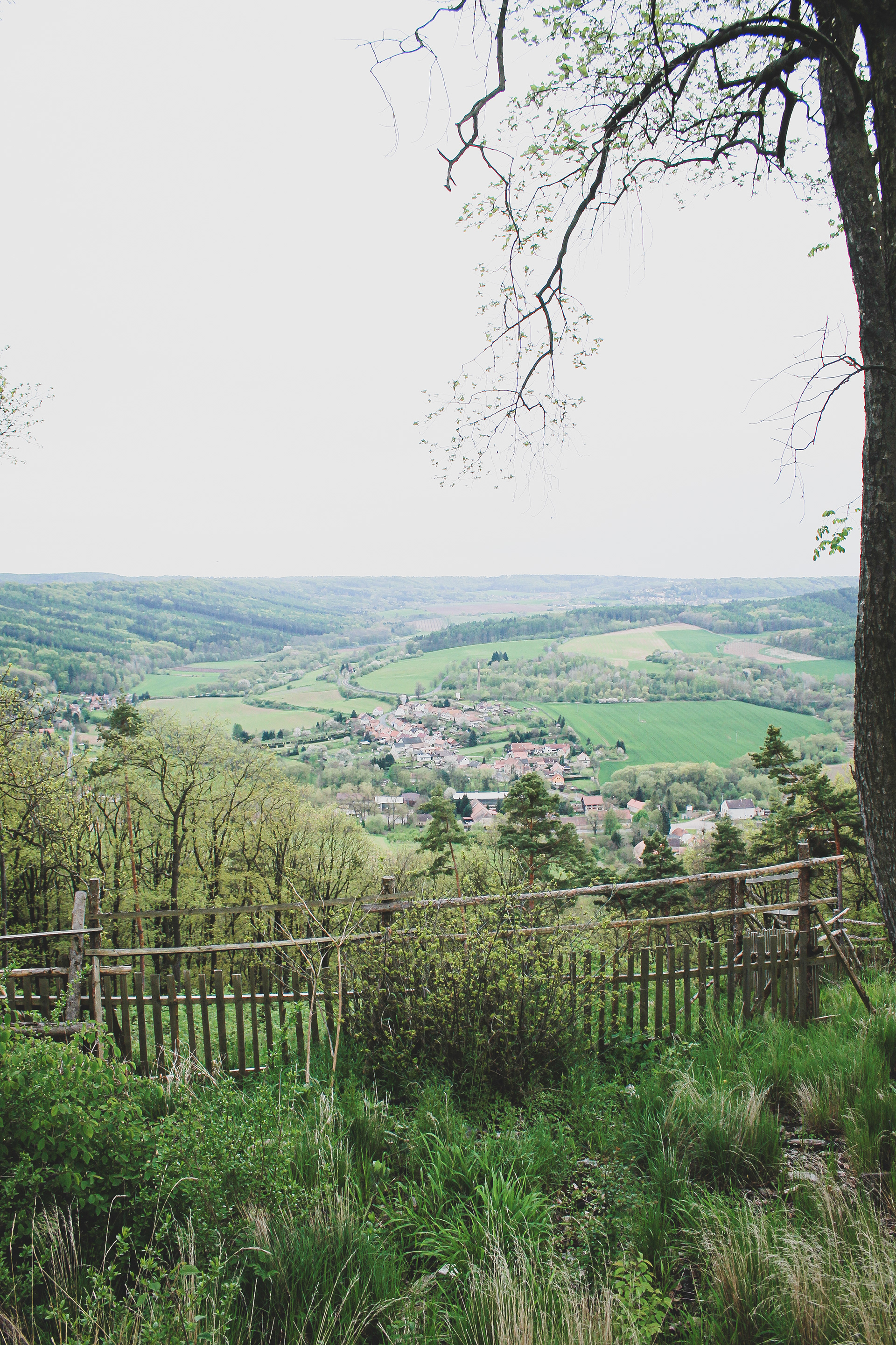 Jaro na podlesí, 23. dubna 2023