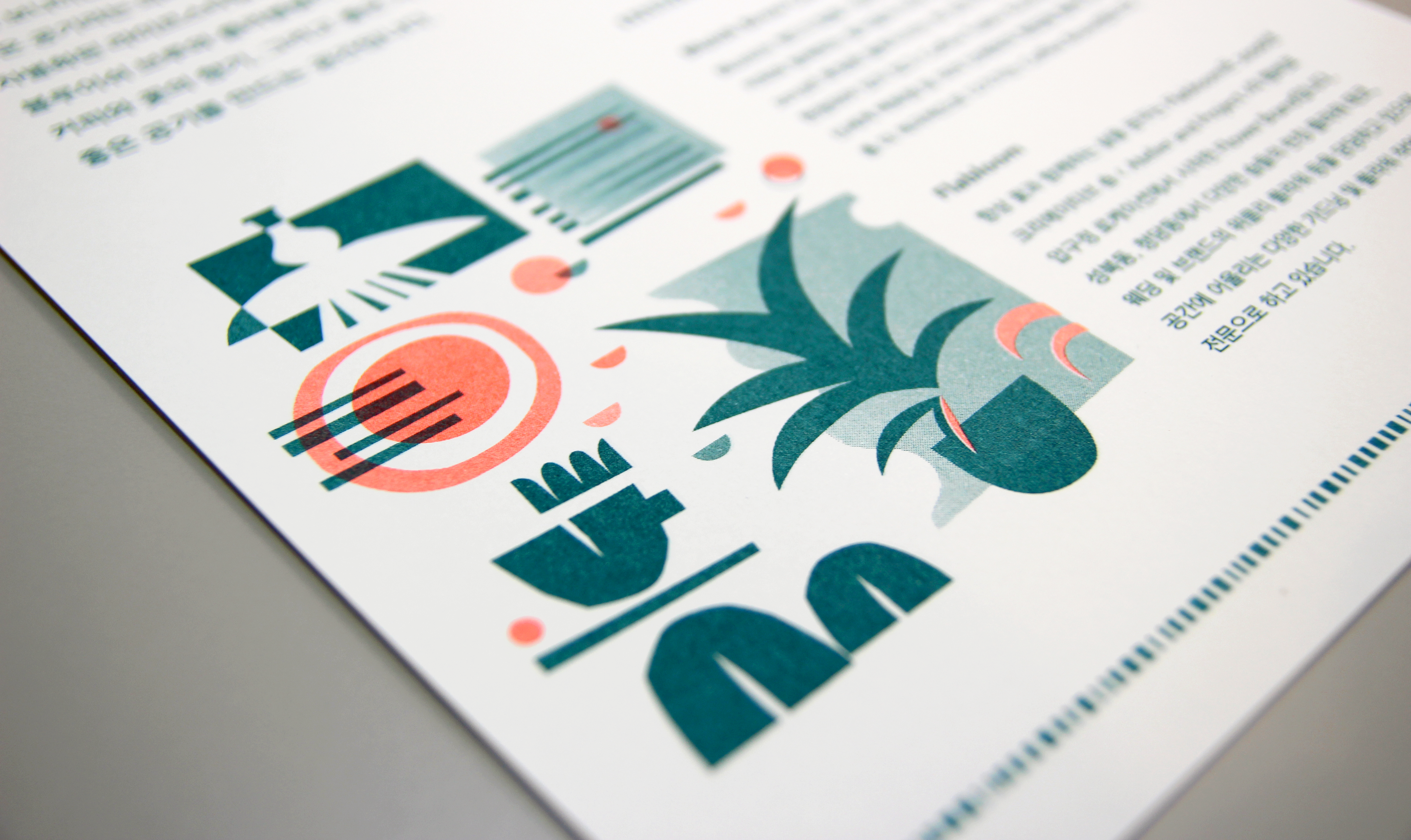 riso printing & illustration of cafe bonay brand story |  카페 보나이 브랜드 스토리 소개 리소 프린트와 일러스트레이션