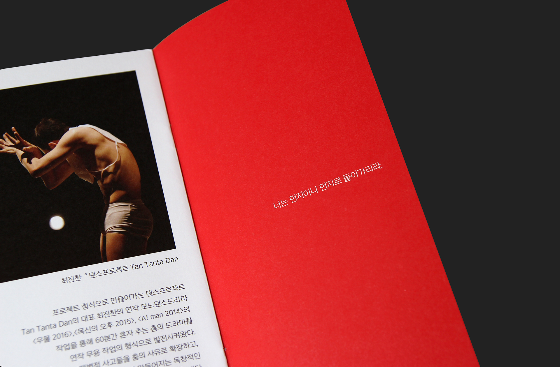  page editorial design of brochure |  WOman 프로그램북, 브로슈어 페이지 레이아웃 편집 디자인