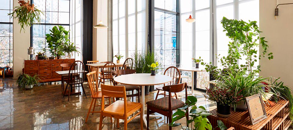 mid-century concept cafe Bonay in Gimpo |  미드 센트리 디자인 카페 플라워 김포 카페 보나이