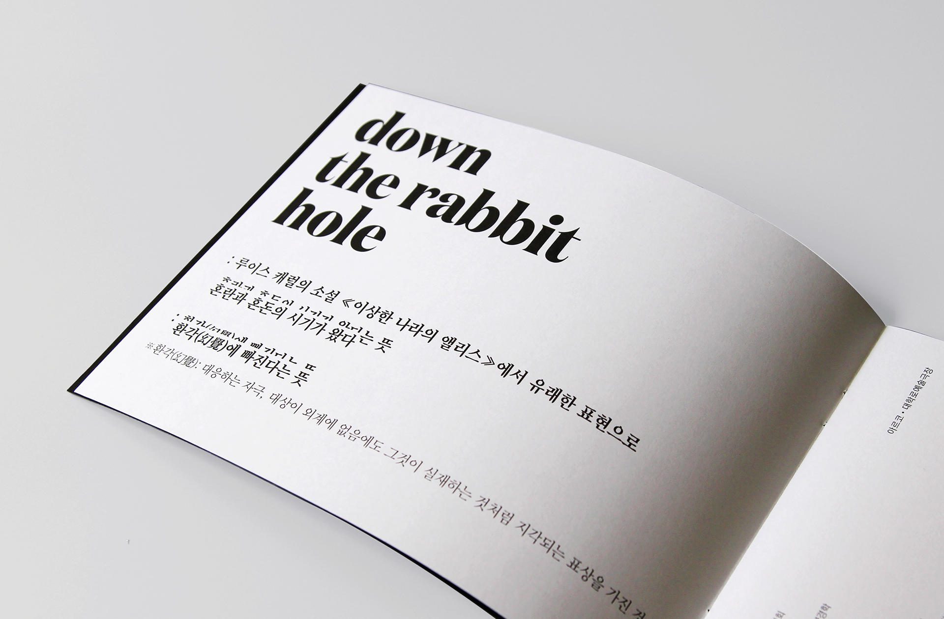 best page editorial design of Down the rabbit hole |  다운 더 래빗 홀 프로그램 페이지 타이포그래피와 편집 디자인 