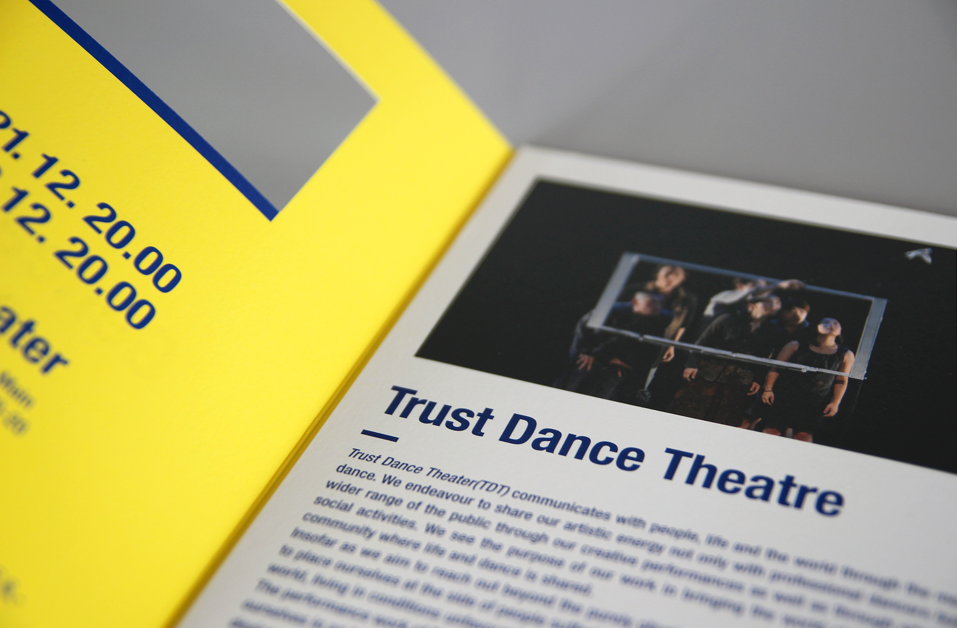 a leaflet of Genealogical Quest edited in multilingual typography with outstanding die-cut printing | 다이컷 후가공이 돋보이는 영어와 독일어로 편집된 계보학적 탐구의 리플렛 