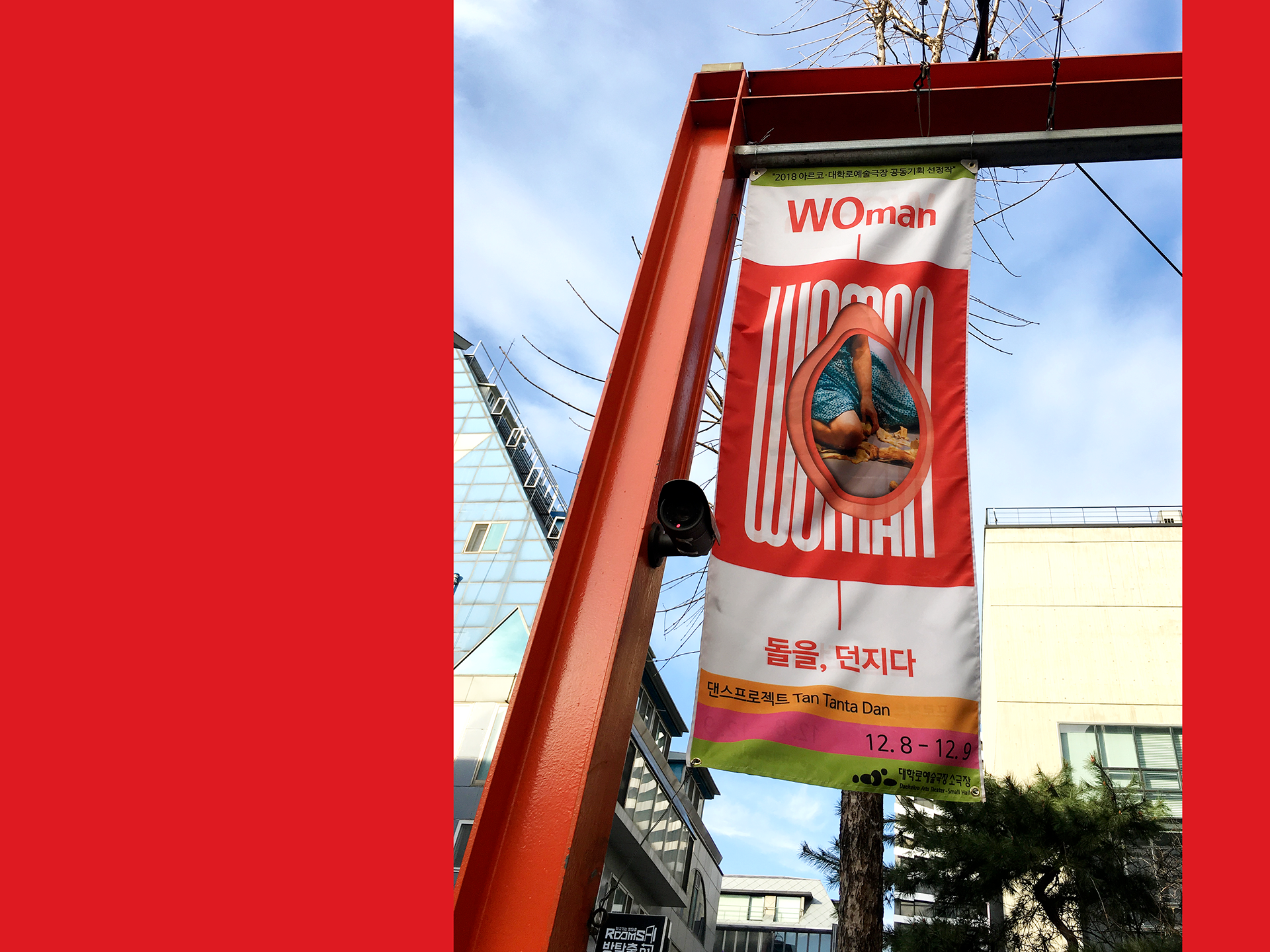 flag banner of the WOman | 대학로예술극장 실외 무용 공연 배너 디자인