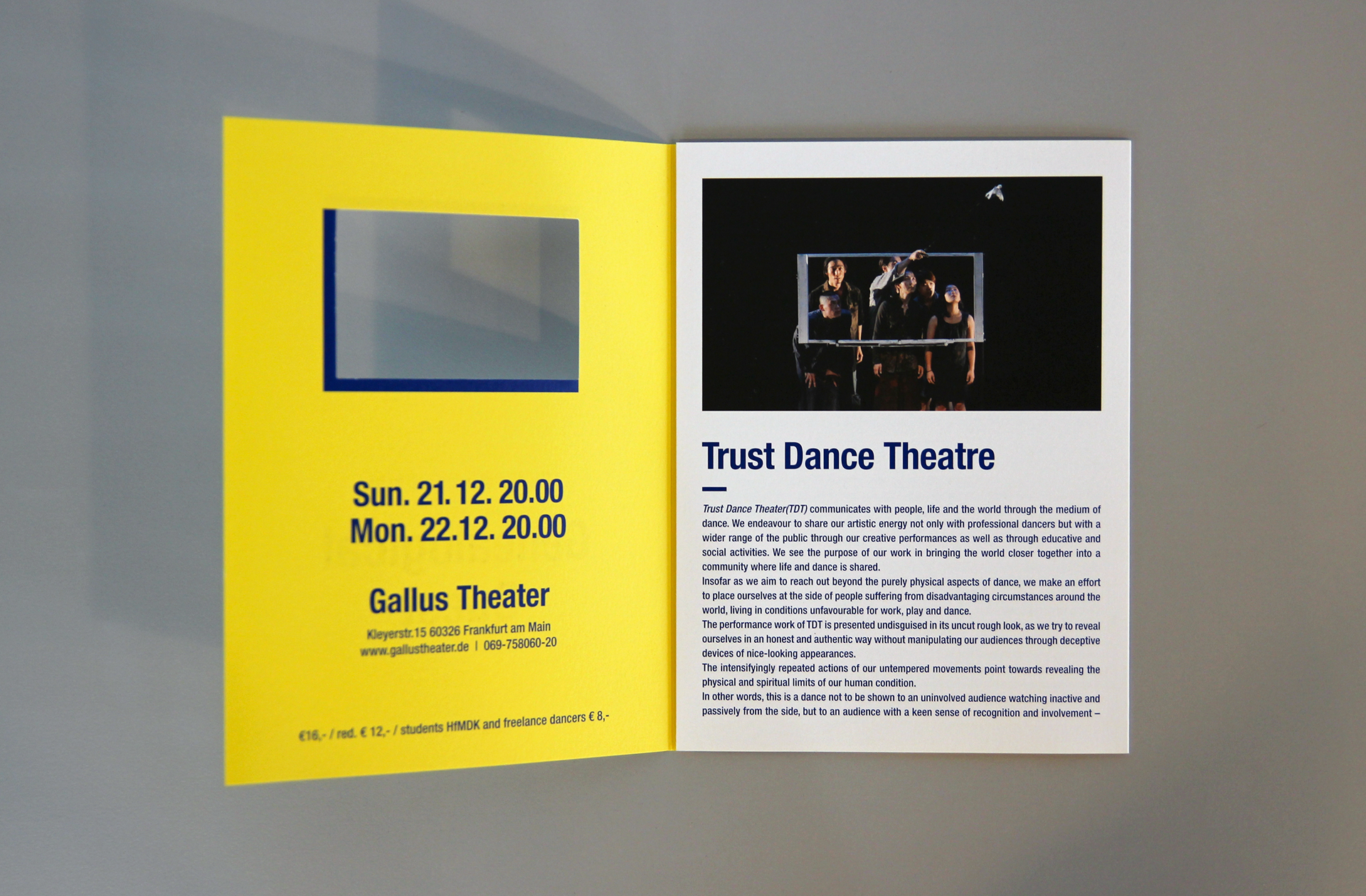 a leaflet of Genealogical Quest edited in multilingual typography with outstanding die-cut printing | 다이컷 후가공이 돋보이는 영어와 독일어로 편집된 계보학적 탐구의 리플렛 