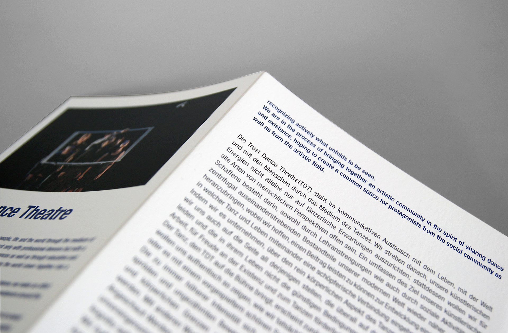 a leaflet of Genealogical Quest edited in multilingual typography with outstanding die-cut printing | 다이컷 후가공이 돋보이는 영어와 독일어로 편집된 계보학적 탐구의 리플렛 