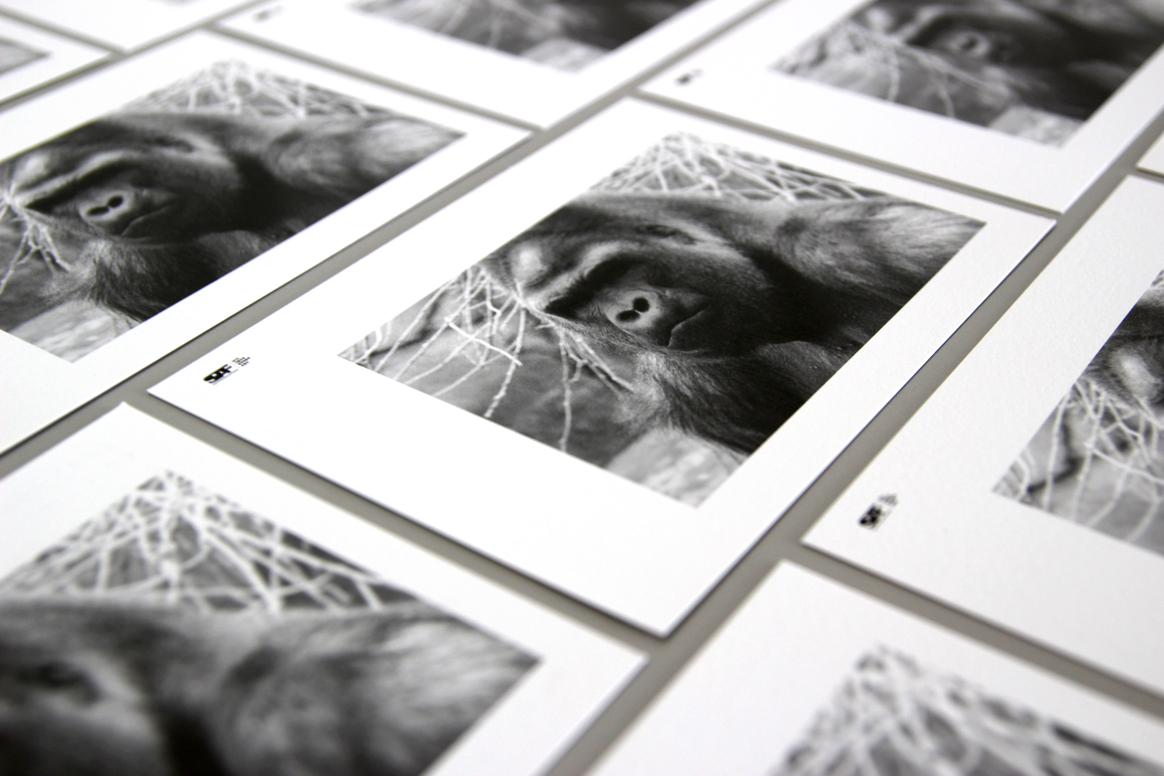 목신의 오후 공연 홍보용 흑백 리플렛 편집 디자인 | the promotional leaflet card editorial design