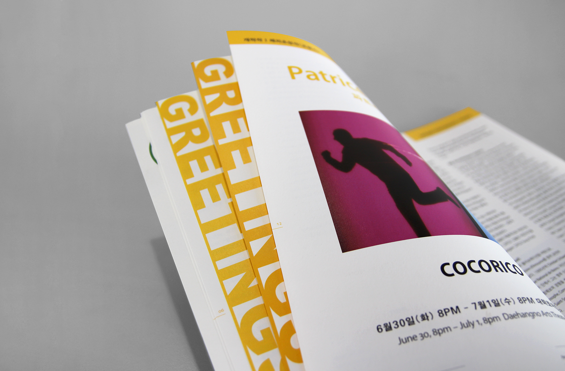 a program book editorial design of the PADAF Festival | 파다프 페스티벌의 프로그램 북 편집 디자인 및 인쇄