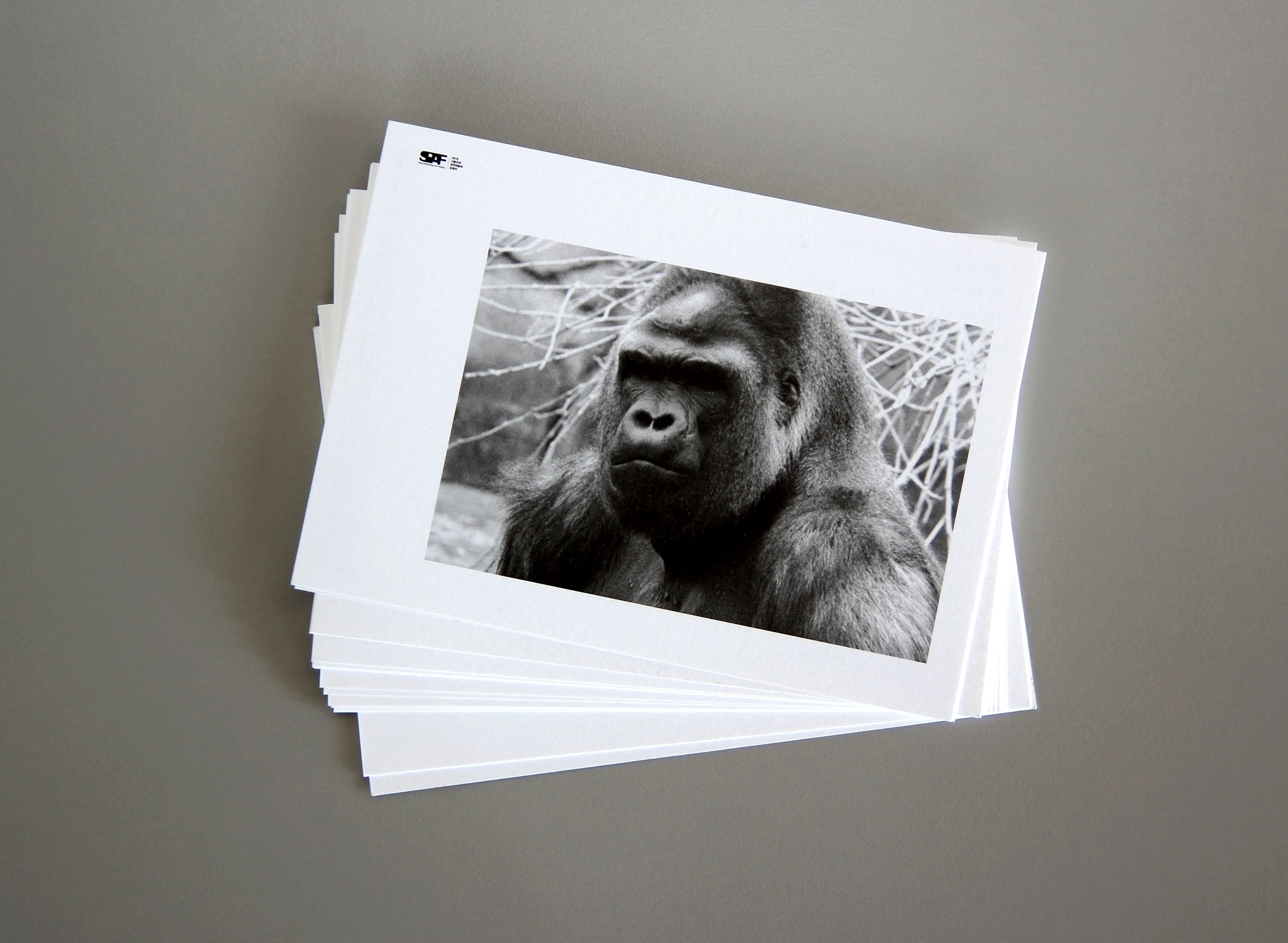 목신의 오후 공연 홍보용 리플렛 편집 디자인 | the promotional leaflet card editorial design