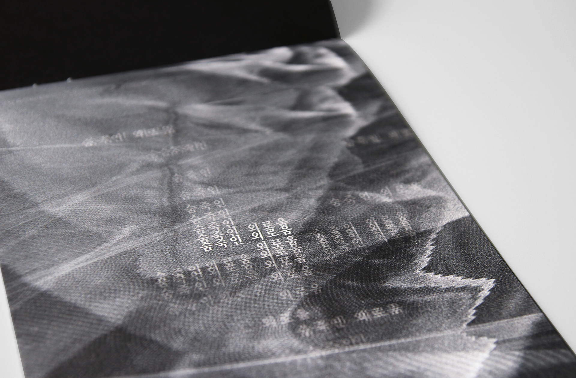 best page editorial design of Down the rabbit hole |  다운 더 래빗 홀 프로그램 페이지 타이포그래피와 편집 디자인 