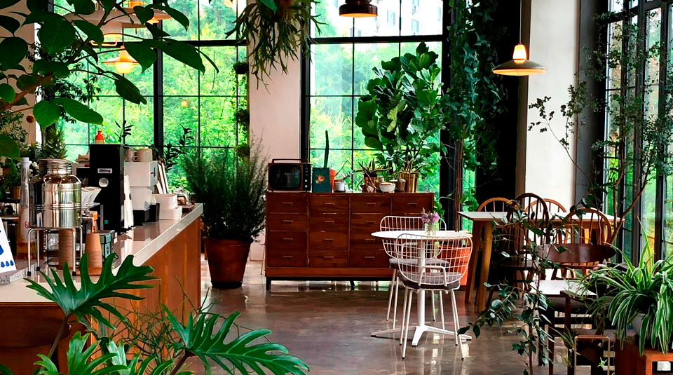 flower & plants cafe Bonay in Gimpo | 플라워 김포 카페 보나이