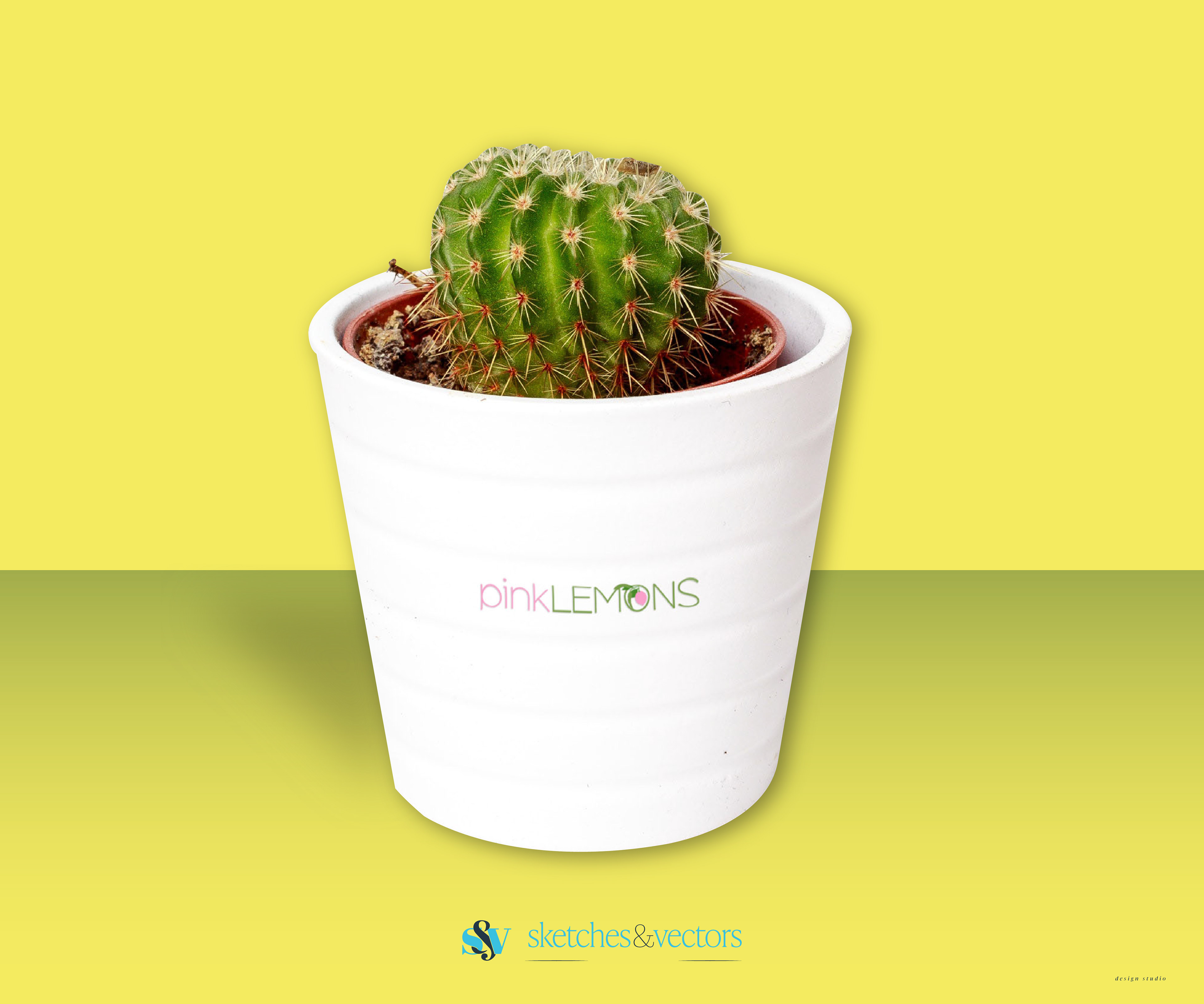 Corporate Identity 
