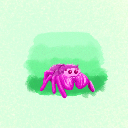 spider fighter