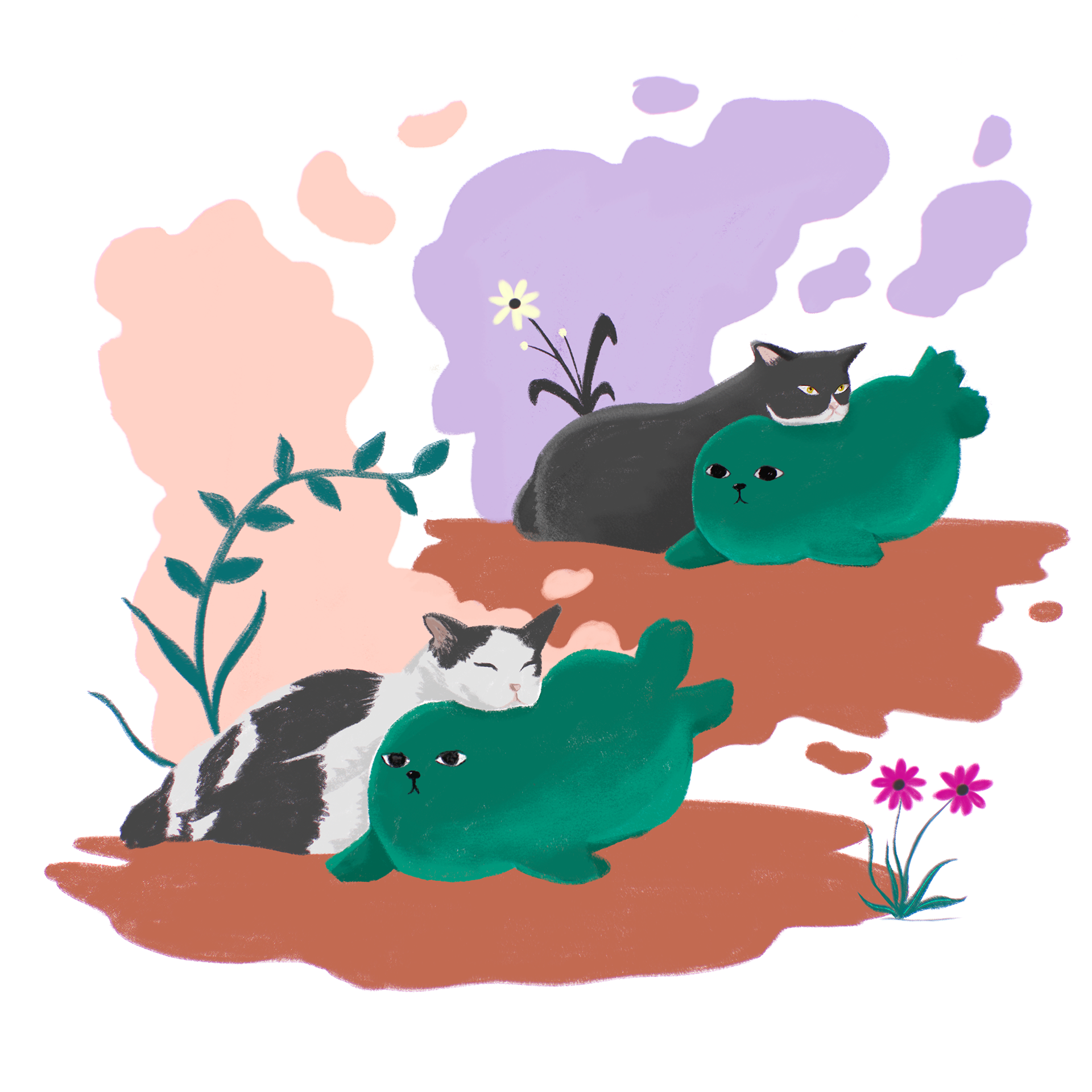 cat and seal