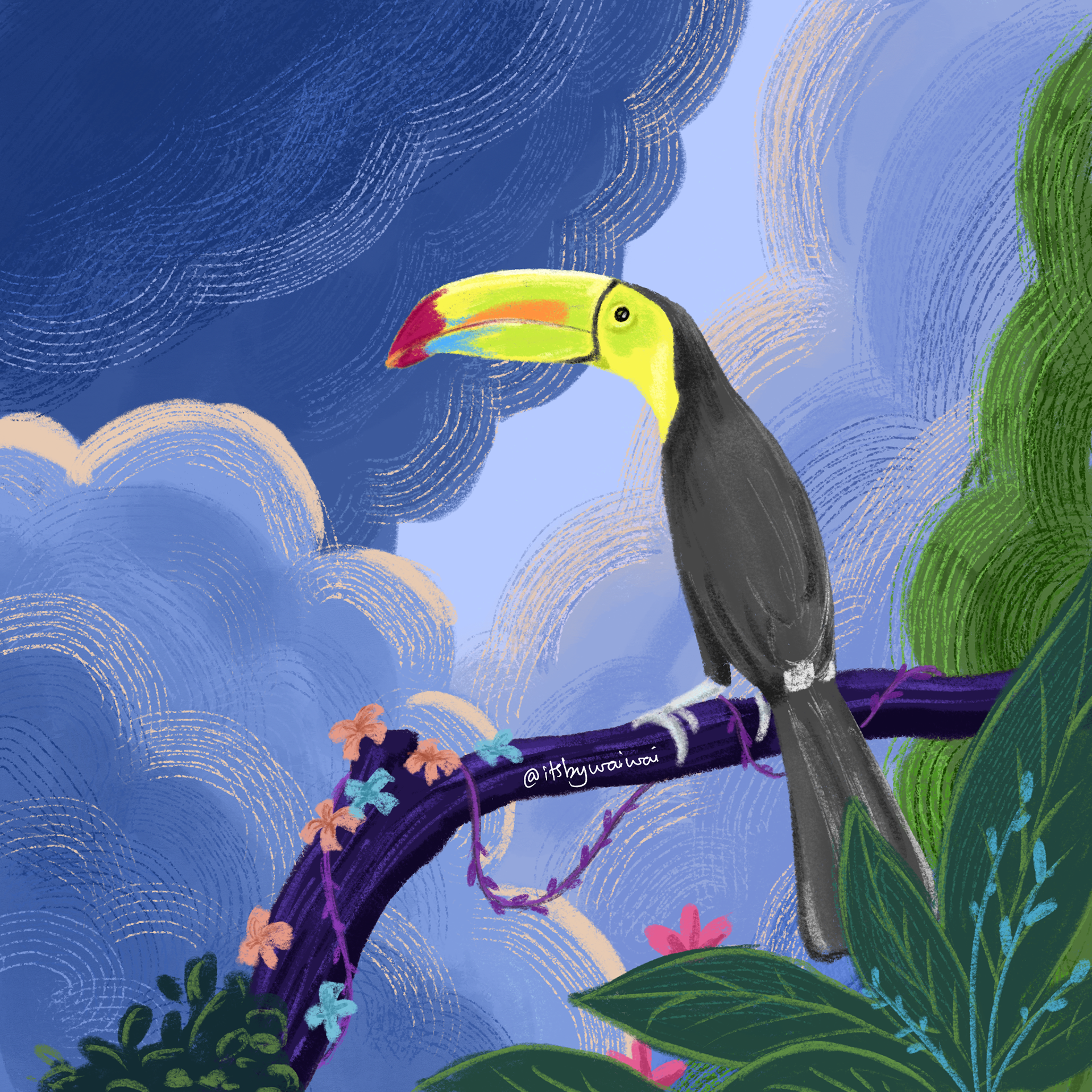hornbill