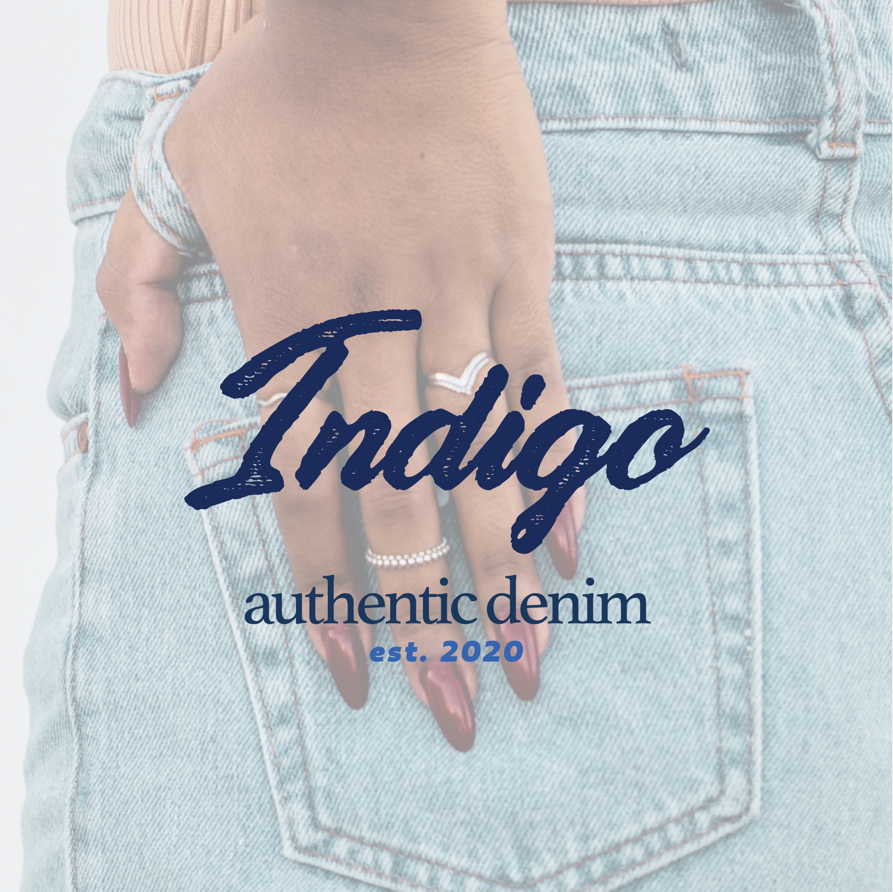 Indigo Logo Variation
