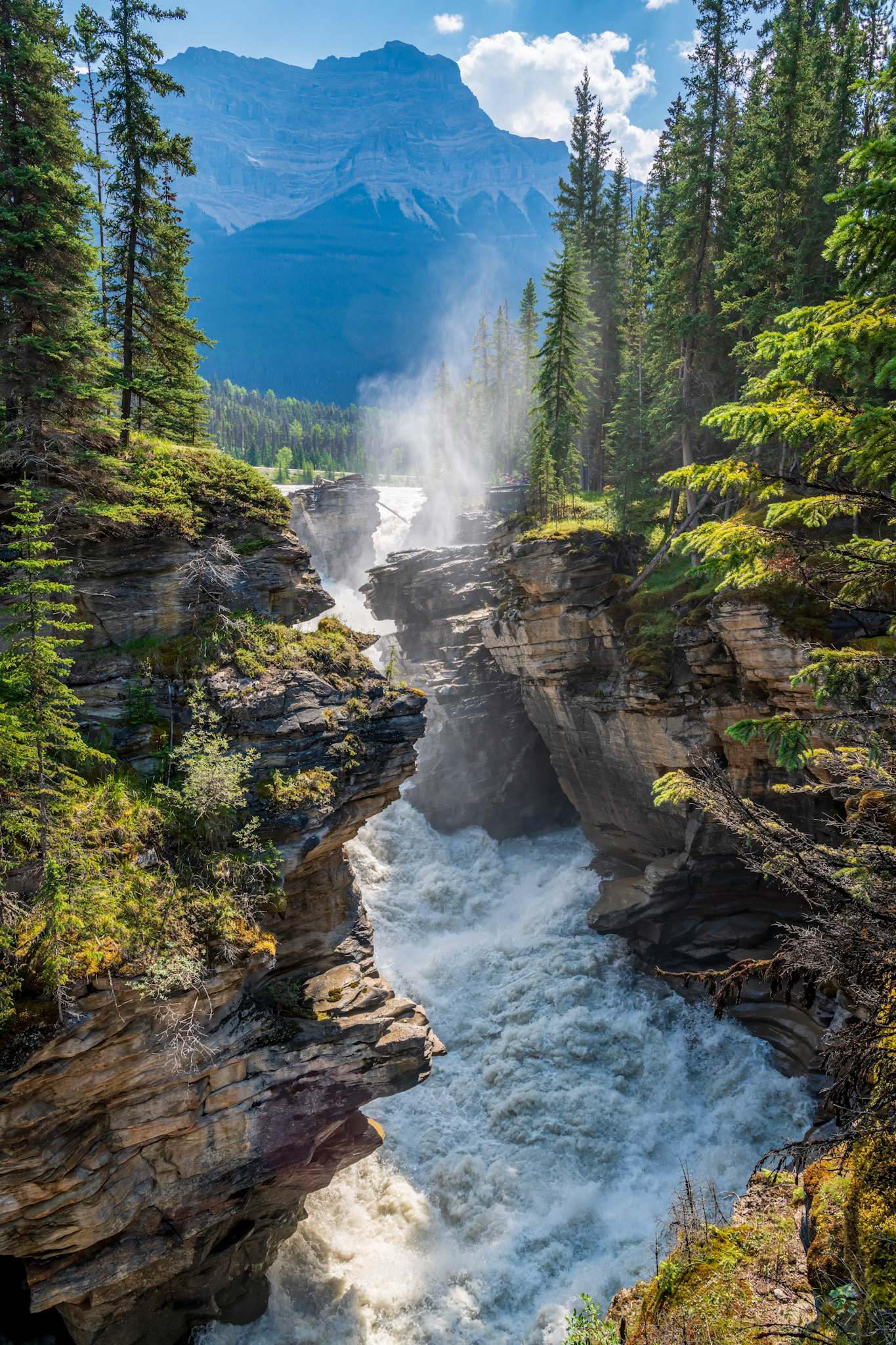 Nature's power on the Athabasca River along the Icefields Parkway in Jasper National Park