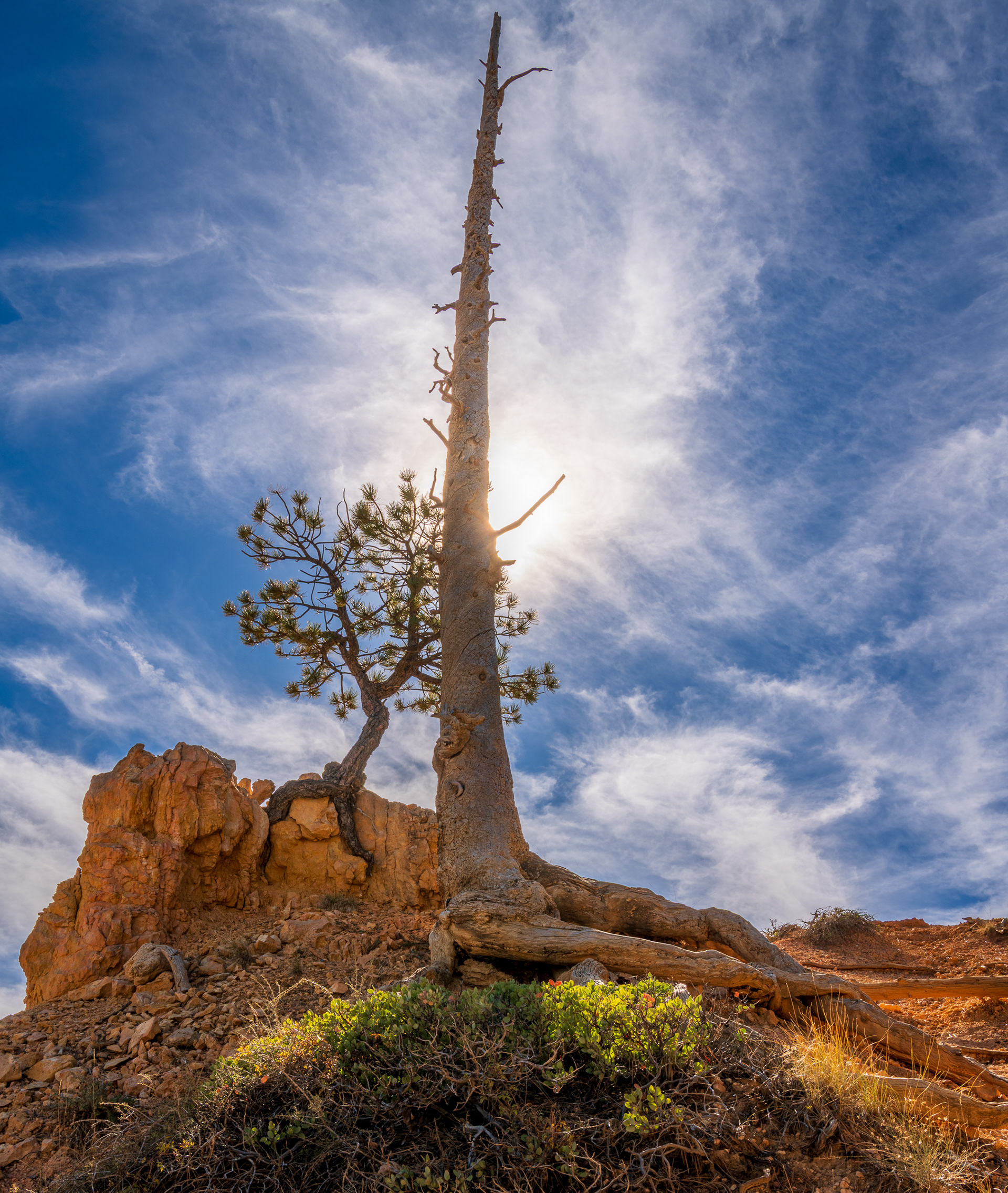Bryce Spire And Light