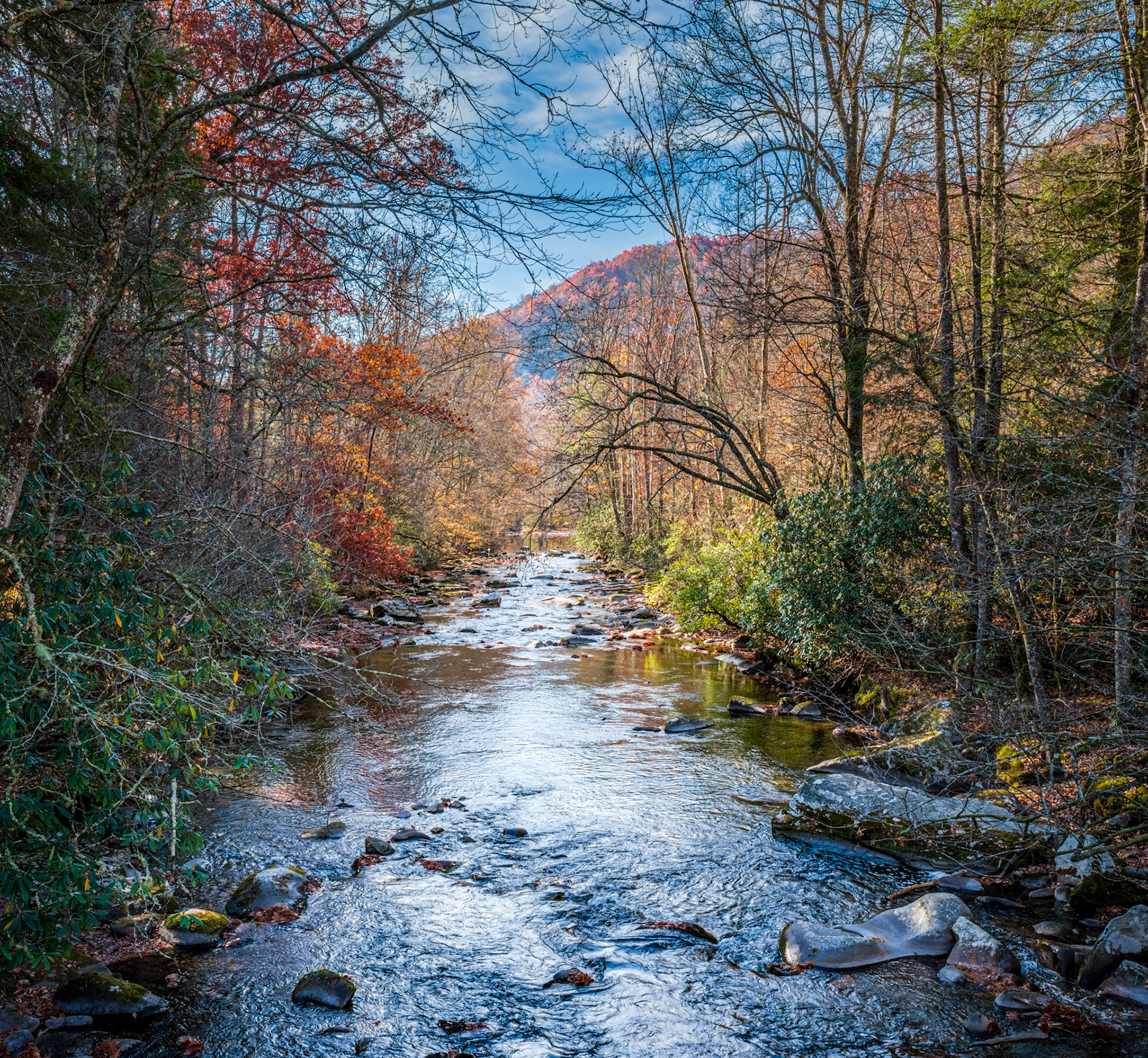 Morning Light and Fall Colors on the Oconaluftee River