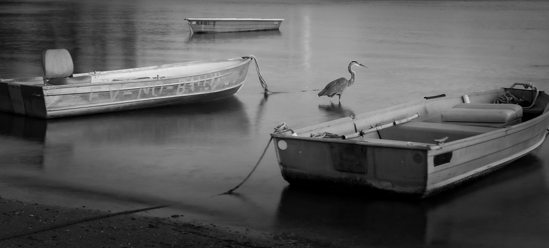 Ever Vigilant - On Sarasota Bay