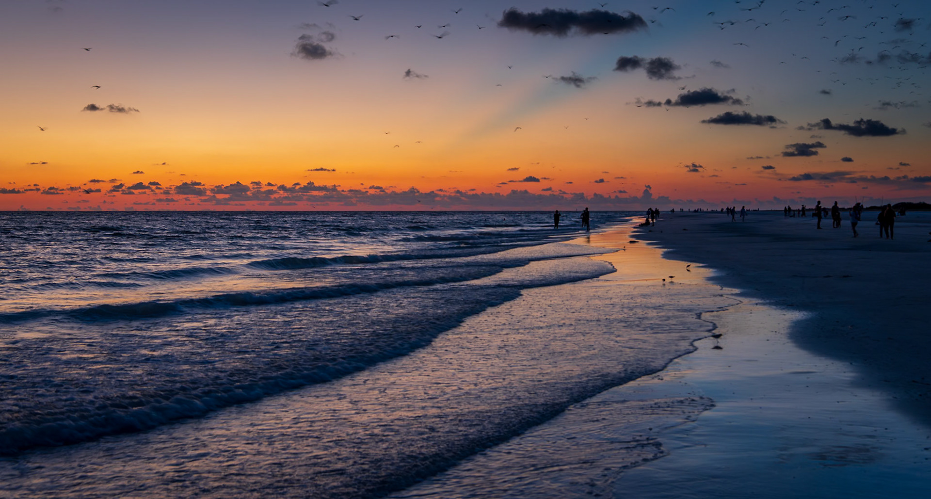 Suncoast Sunset - Siesta Key
