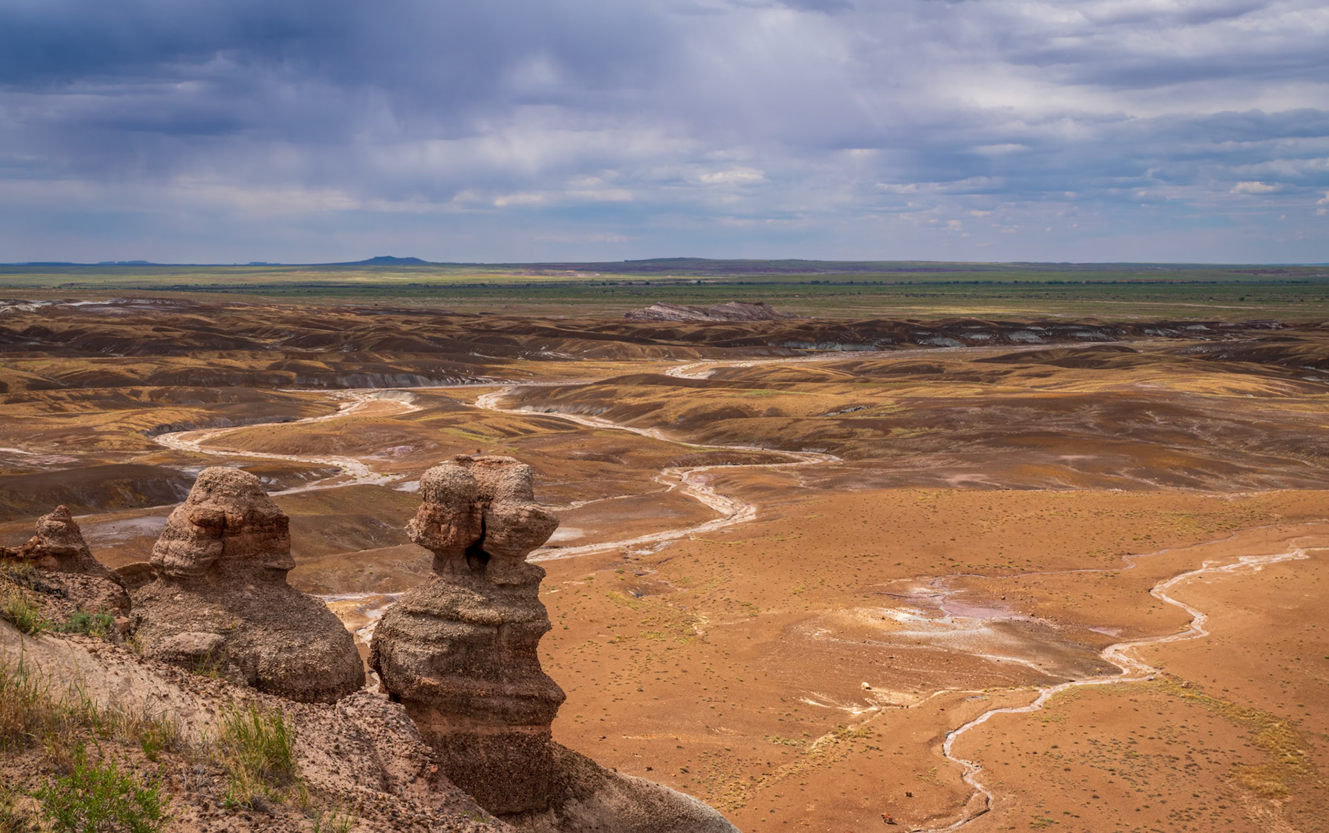 Nature's Canvas in the Painted Desert