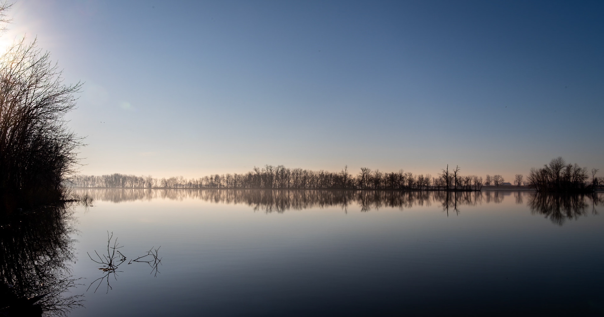 Morning Eagle Watching - Prime location in the Mississippi River wetlands at the Alton Slough