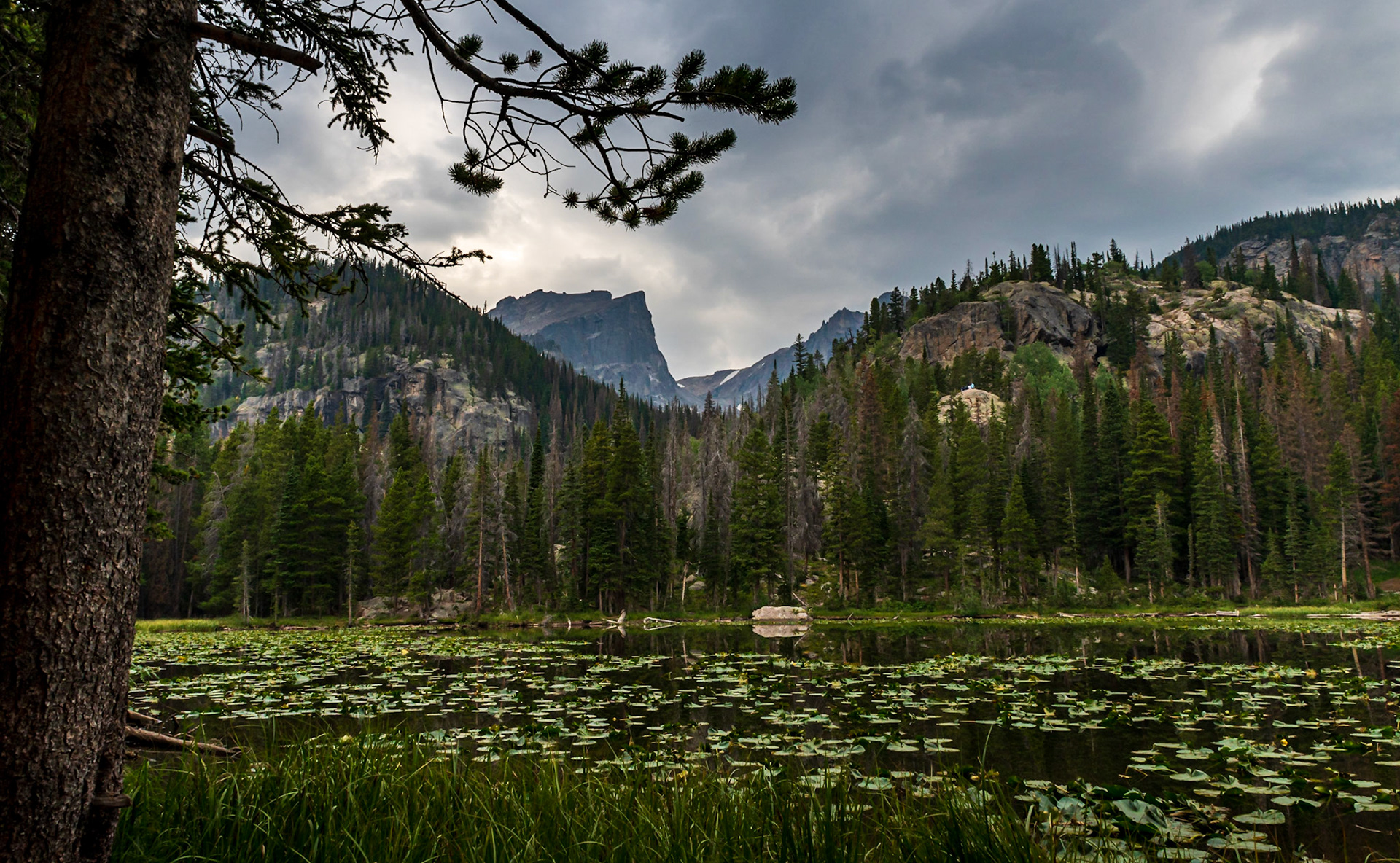 Serenity at Nymph Lake