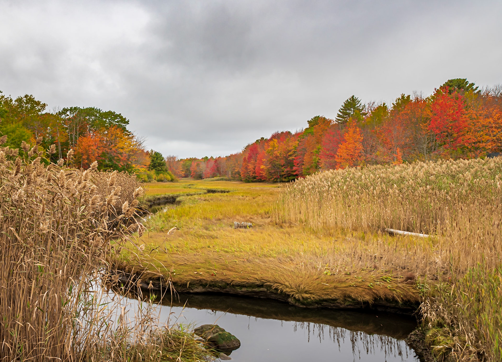 Beautiful fall colors in southern Maine near the Atlantic coast.