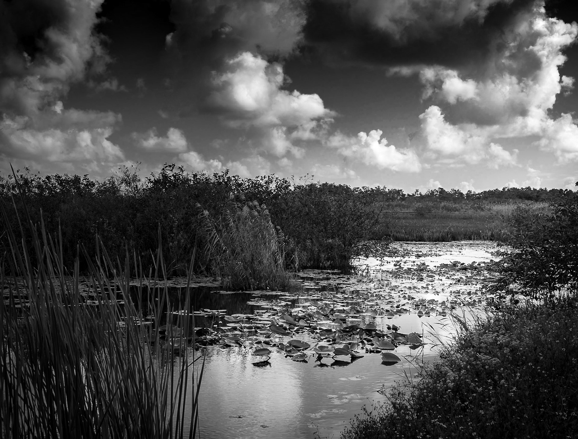 Moody Glades