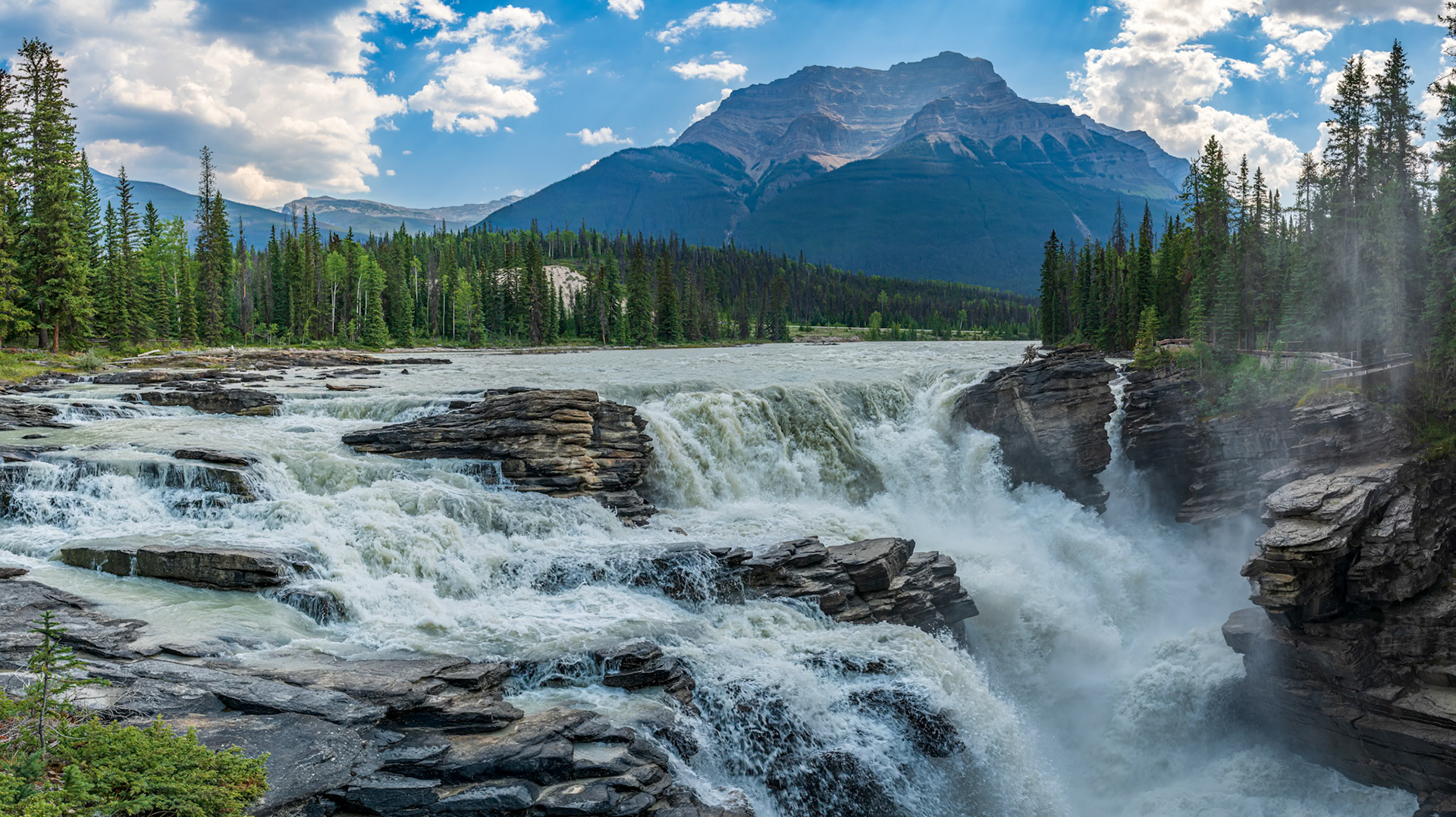 The Amazing Athabasca Falls - forceful waterfall on the Athabasca River along the Icefields Parkway in Jasper National Park